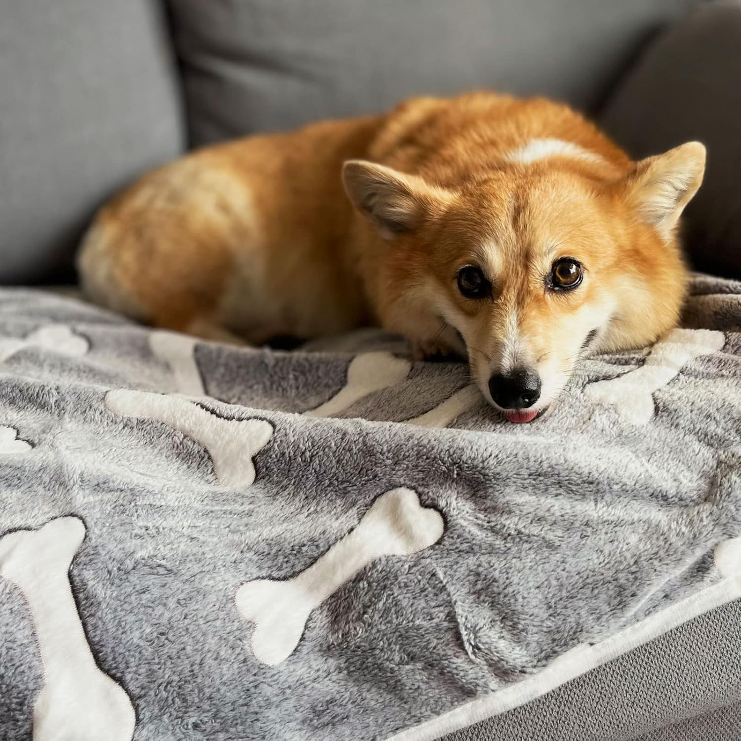 1 Pack 3 Puppy Blankets Super Soft Warm Sleep Mat Grey Cute Print Blanket Fluffy Fleece Pet Blanket Flannel Throw Dog Blankets for Small Dogs Puppy Dogs Fluffy Cats,Bone-Large(40"X30") image number 6