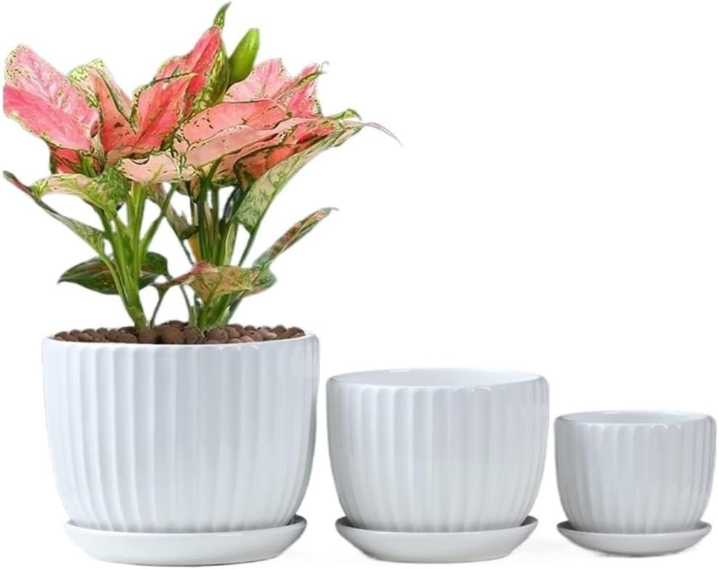 Ceramic Plant Pot 3/4/5 Inch 3 Packs White Indoor/Outdoor Flower Planter with Drainage Holes, Trays for Succulents, Flowers, and Herbs image number 6