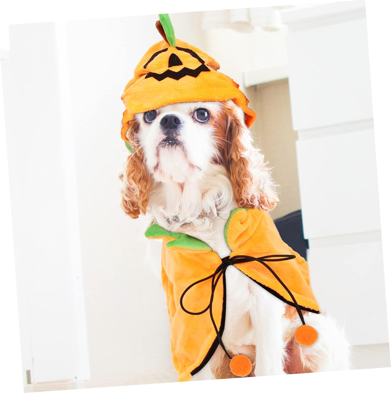 BESPORTBLE 3Sets Pet Halloween Costume Set of Pumpkin Cloak Hat for Dogs and Cats Adorable Pet Outfit for Halloween Parties Easy to Wear for Cosplay and Festive Occasions image number 3