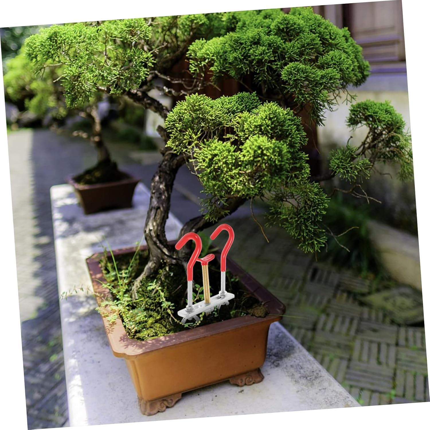 Bonsai Tools Plant Bender for Garden Use Small Branch Regulator with Sturdy Material and Ergonomic Design for Bonsai Styling and Tree Branch Adjustment image number 4