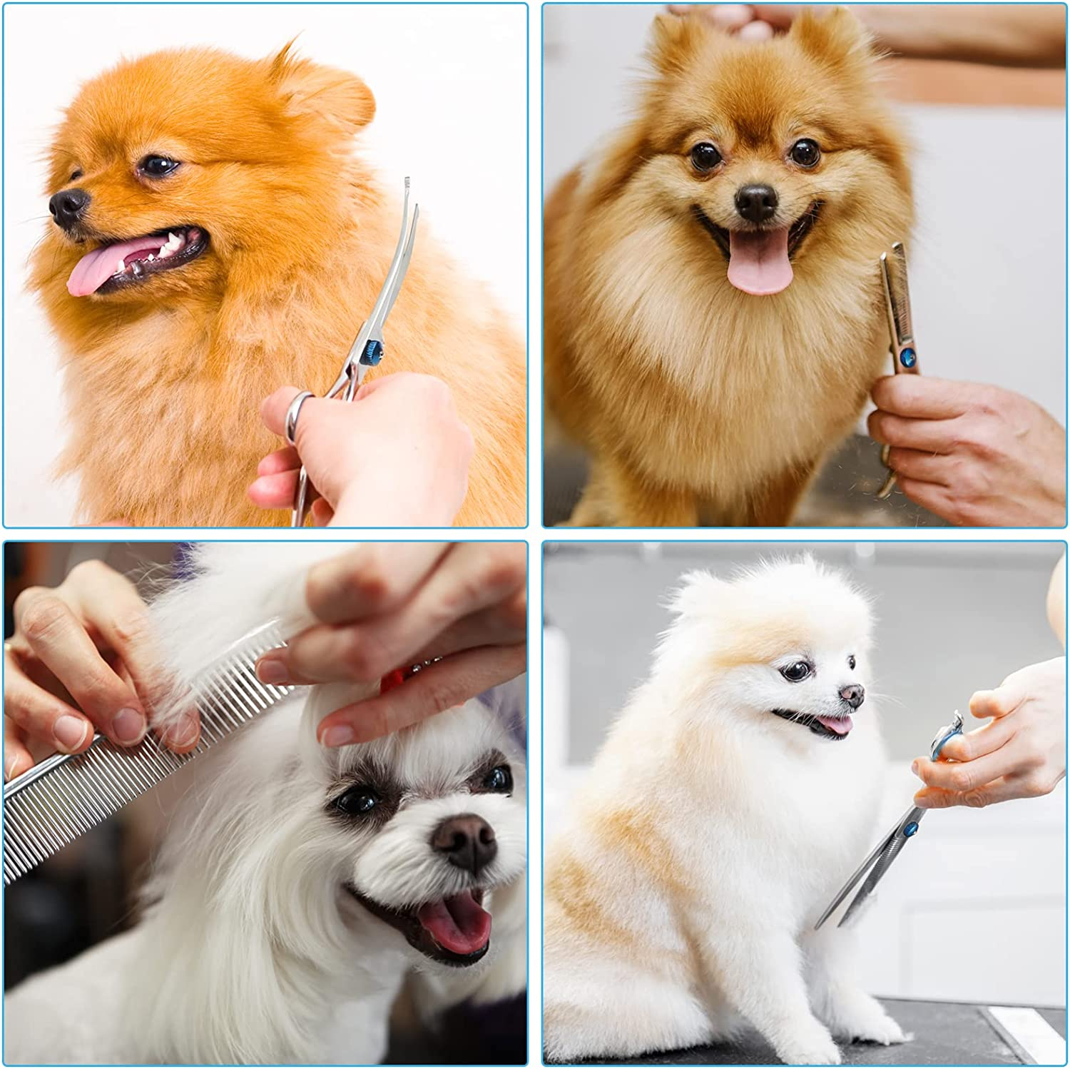 Liren Professional 6 in 1 Dog Grooming Scissors Kit with Safety round Tips, Heavy Duty Stainless Steel Sharp and Durable Pet Grooming Shears for Dogs and Cats image number 3