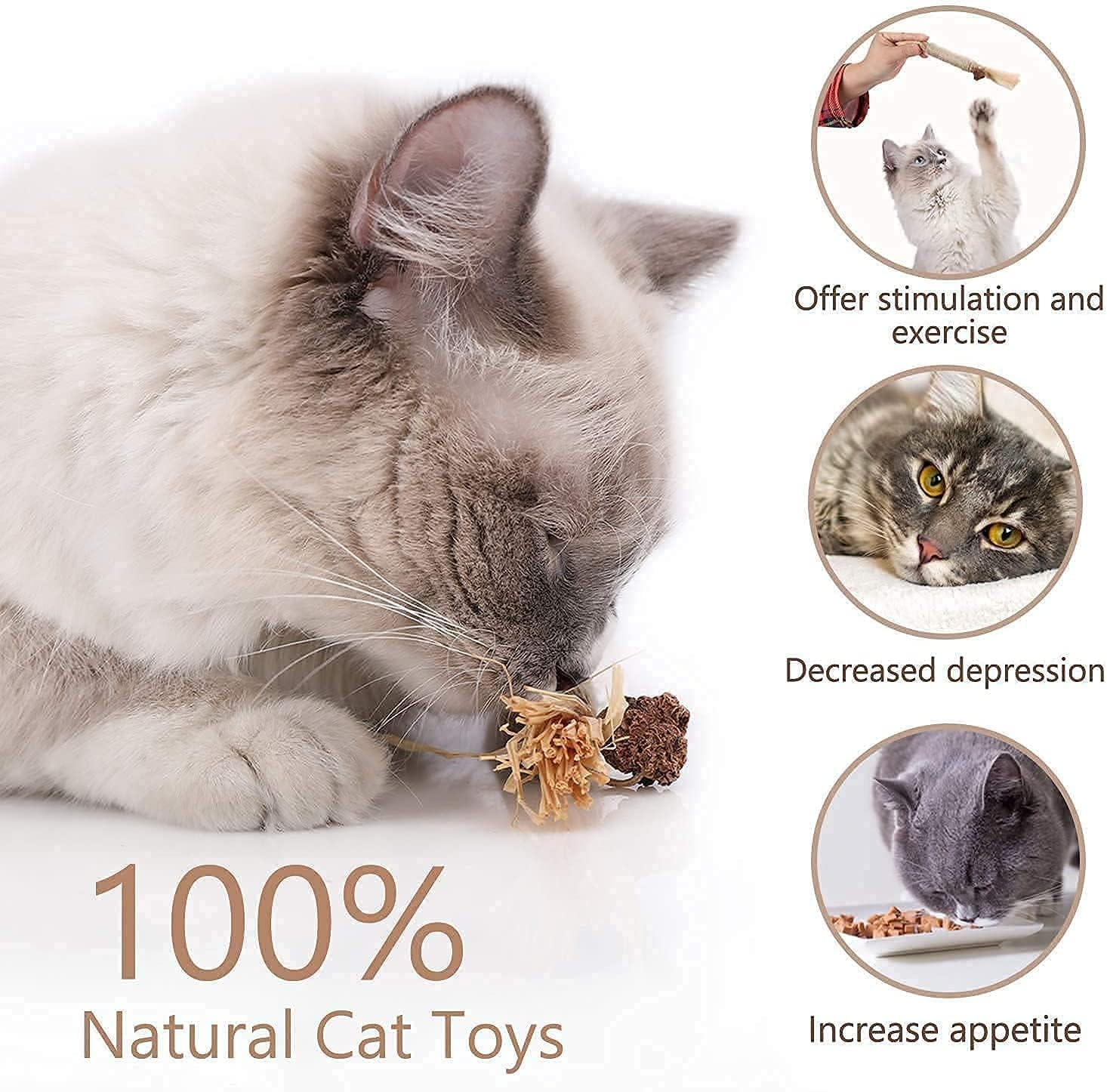 Catnip Toys 6 Pcs Silvervine Chew Stick Natural Silvervine Blend Sticks Cat Nips Interactive Kitten Dental Toy for Kittens Teeth Cleaning Indoor Cats