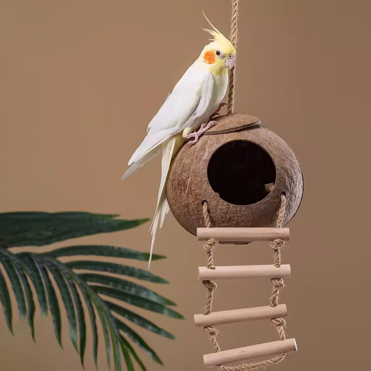 AIMALL Natural Coconut Shell Bird Nest, Spacious and Secure Habitat for Parrots and Parakeets, Easy to Install, Ideal for Nesting and Play, Natural Finish image number 2