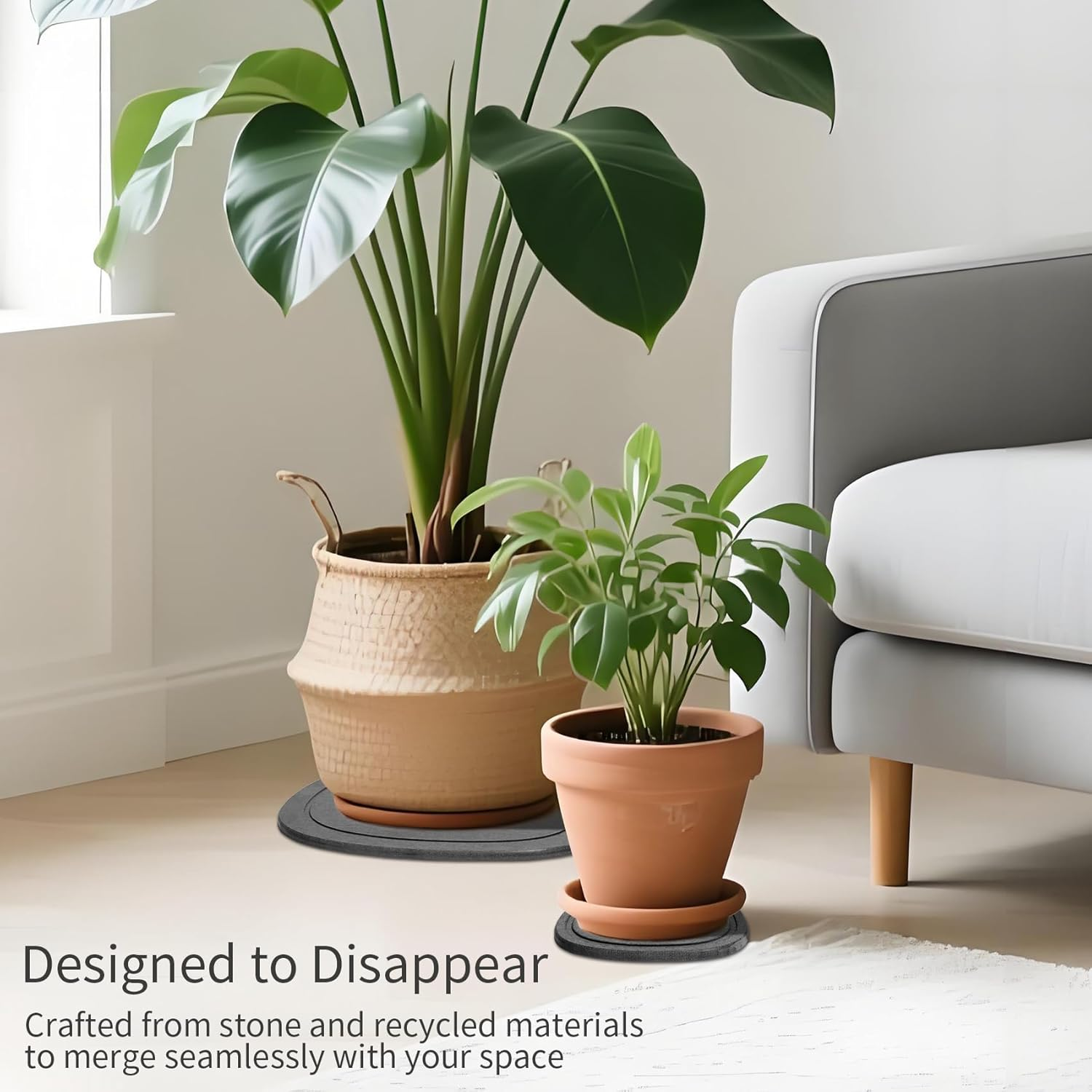 Stone Plant Saucers | Premium Diatomite | Water-Absorbent Planter Trays for Indoor Plants | Flower Pot Saucers | Plant Pot Plate & Drip Tray for Drainage | 2 Pack | Charcoal image number 5