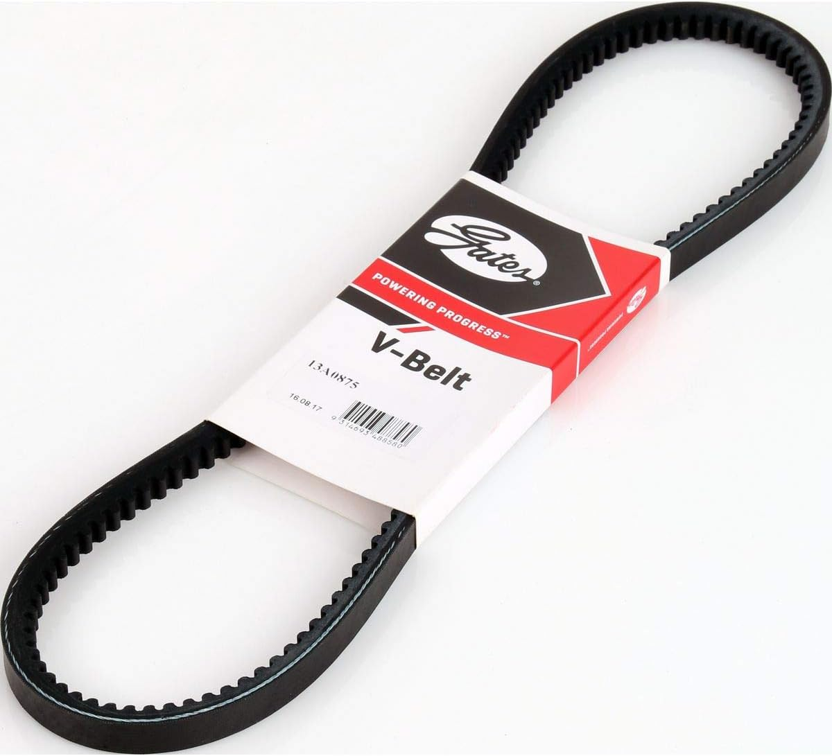 Gates 13A0875 Automotive V Drive Belt, 875 Mm Length