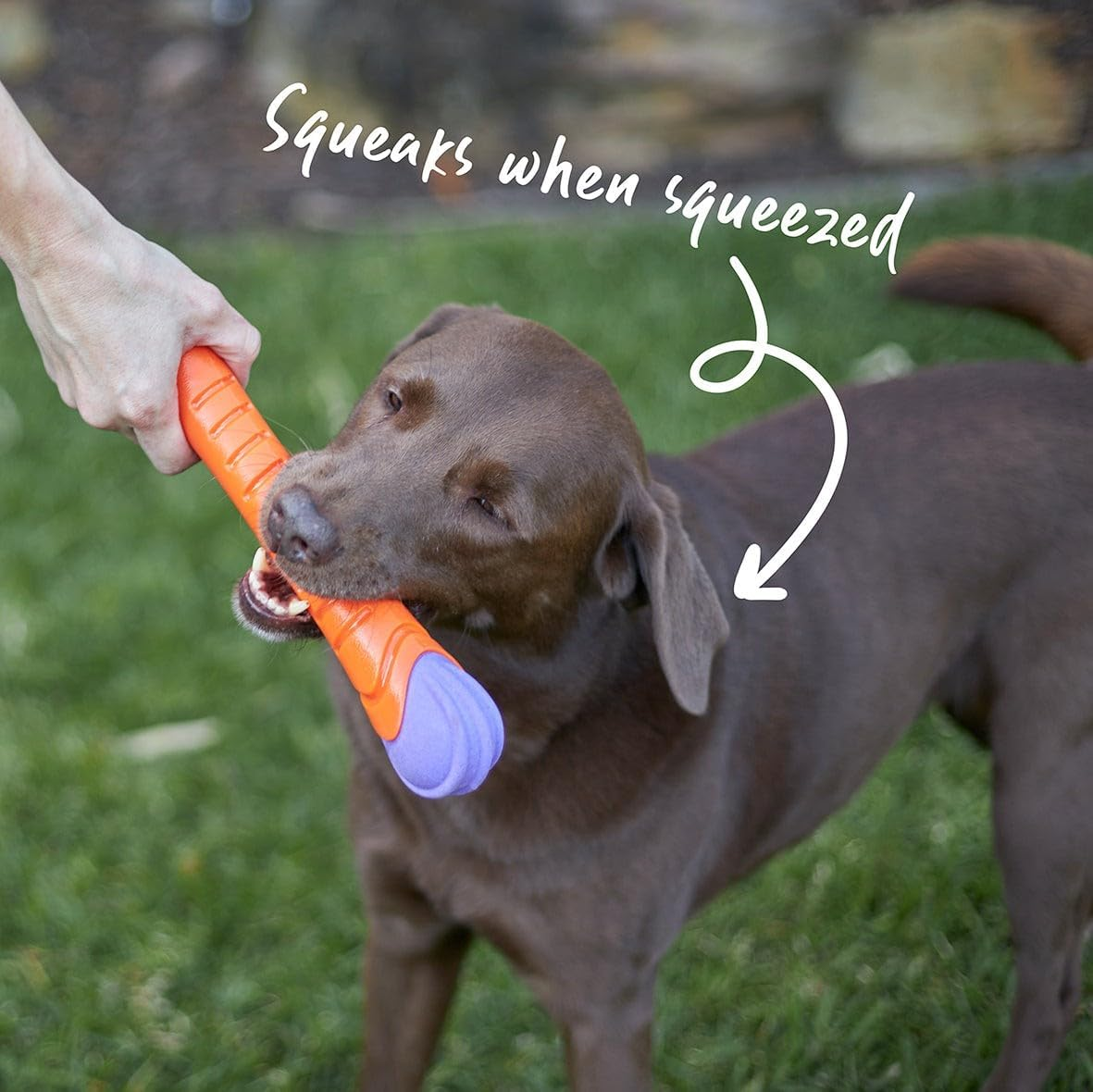 Kazoo Extreme Play Chew Stick, Large image number 5