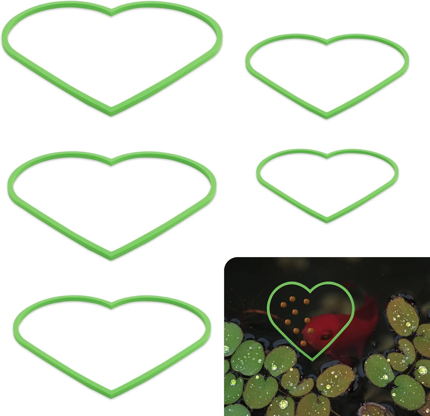 5Pcs Aquarium Floating Plant Rings, Foam Betta Fish Feeding Rings Heart Shaped Fish Tank Feeder Plant Fence Corral Keep Floating Plants in Place & Out of Filters Decor (Green) image number 2