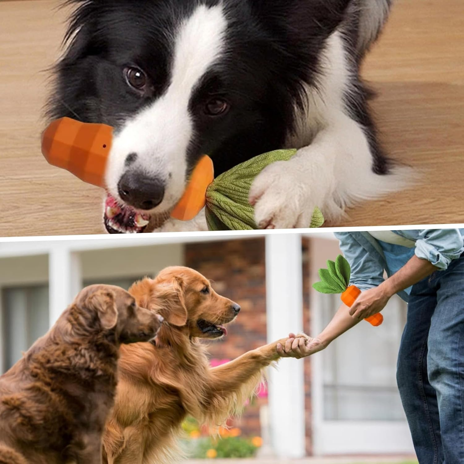 Dog Squeaky Chew Toys for Aggressive Chewers, Rubber Carrot Dog Toys, Indestructible Dog Chew Toys for Training and Cleaning, Interactive Tough Dog Toy for Puppy Medium Breeds image number 5