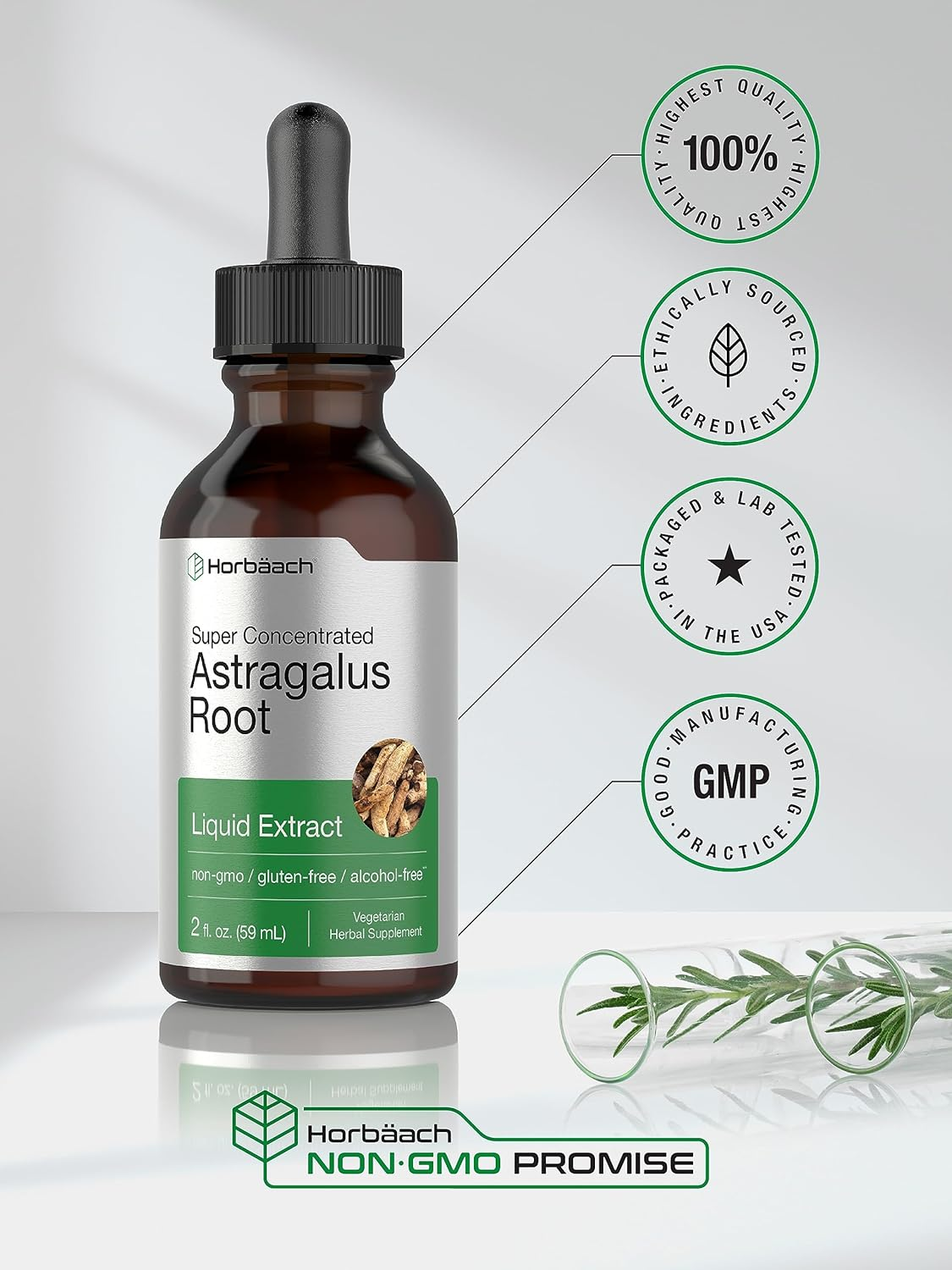Astragalus Root Extract | 2 Oz | Alcohol Free | Super Concentrated | Vegetarian, Non-Gmo, Gluten Free Tincture | by Horbaach image number 3