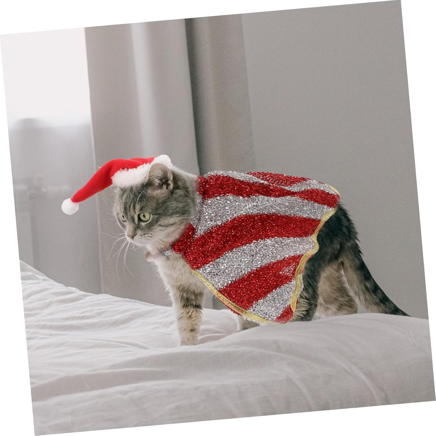 Cat and Dog Clothes Santa Hat and Cape Set for Pet Christmas Costume Winter Dress up Clothing for Dogs for Holiday Parties image number 3