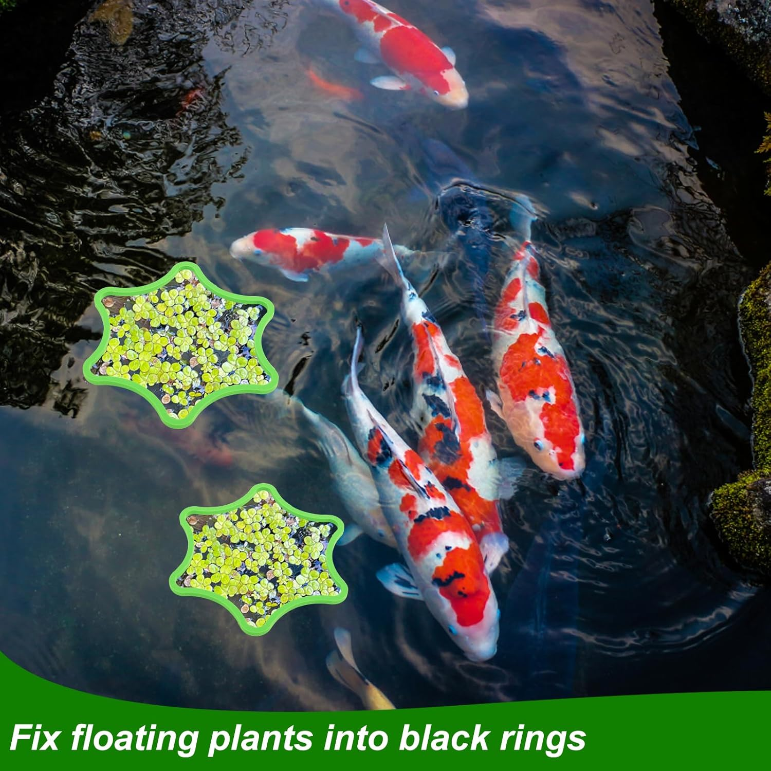 5Pcs Aquarium Floating Plant Rings, Foam Floating Plant Corral Flower Shaped Fish Feeding Rings Fish Tank Food Ring for Intercepting Floating Plants (Green) image number 3