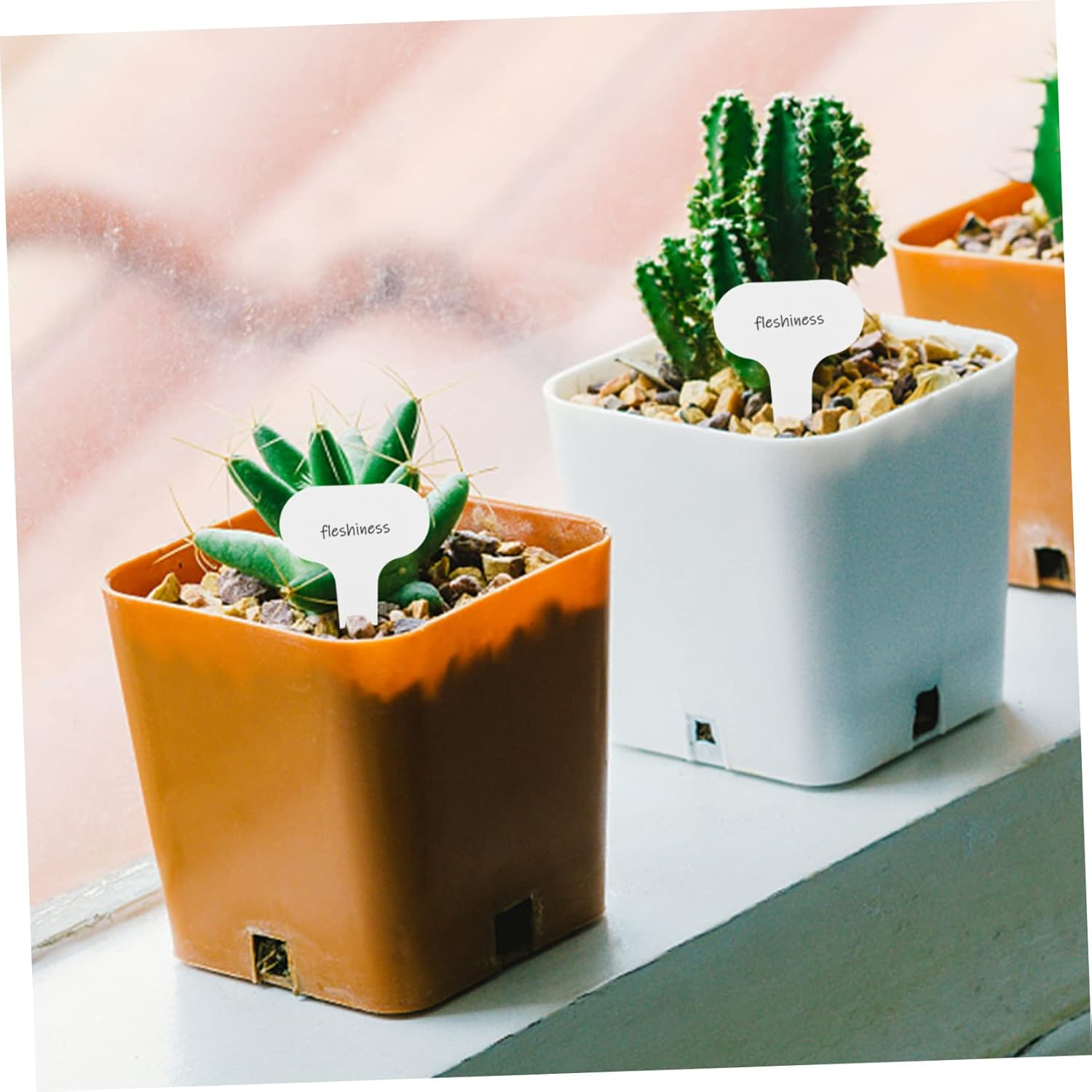 MERRYHAPY 100Pcs Garden Plant Tags Sturdy Plant Markers for Seedlings Easy Identification Smooth for Gardening Park and Decor image number 6