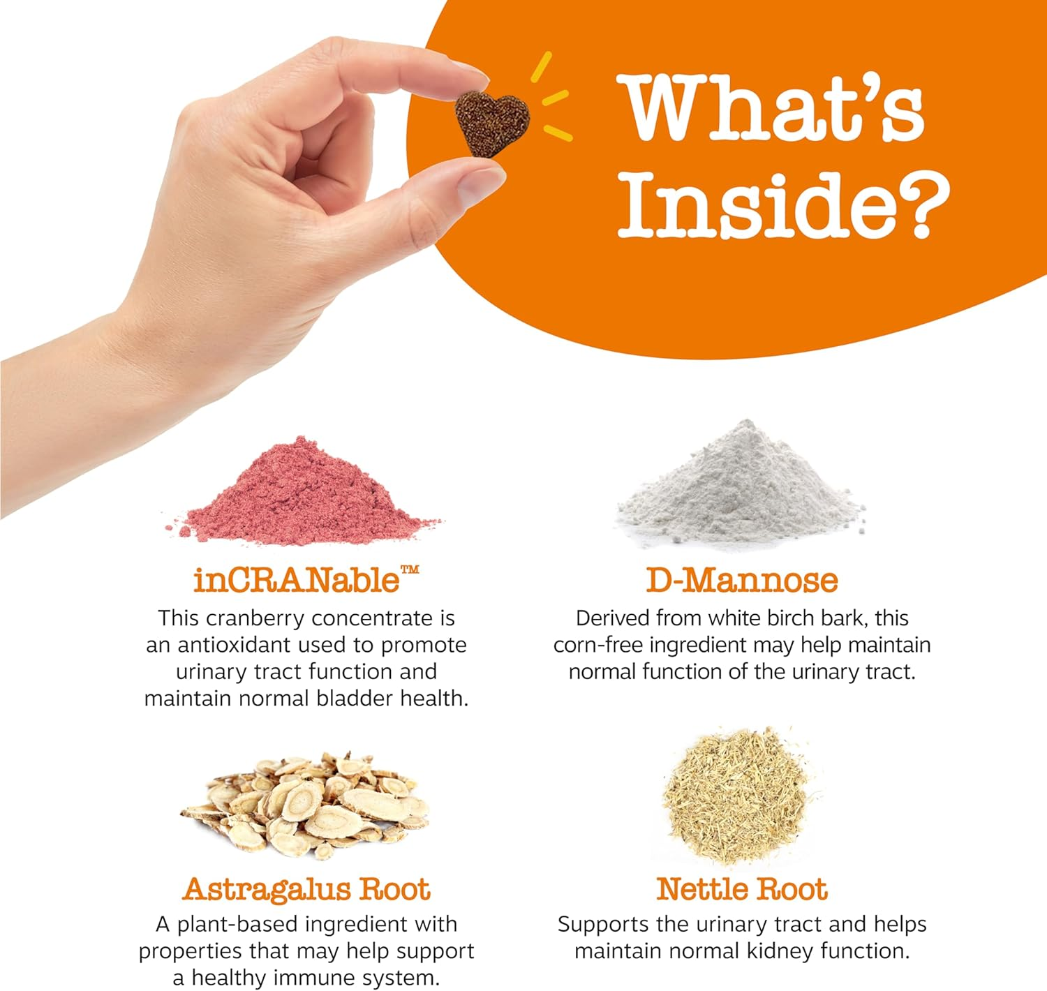 Zesty Paws Cranberry for Dogs - Ut Incontinence Support + Immune Health Dog Antioxidant - Urinary Tract UTI & Kidney + Bladder Support - D-Mannose + Organic Marshmallow & Licorice - 90 Chew Treats