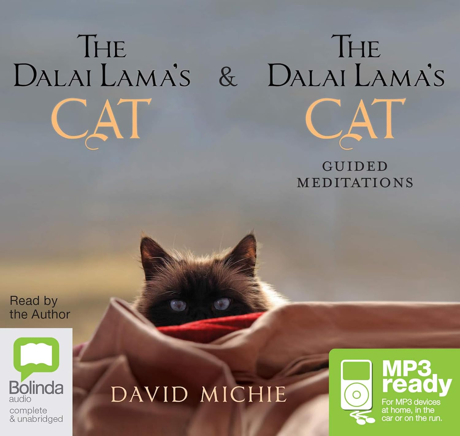 The Dalai Lama'S Cat