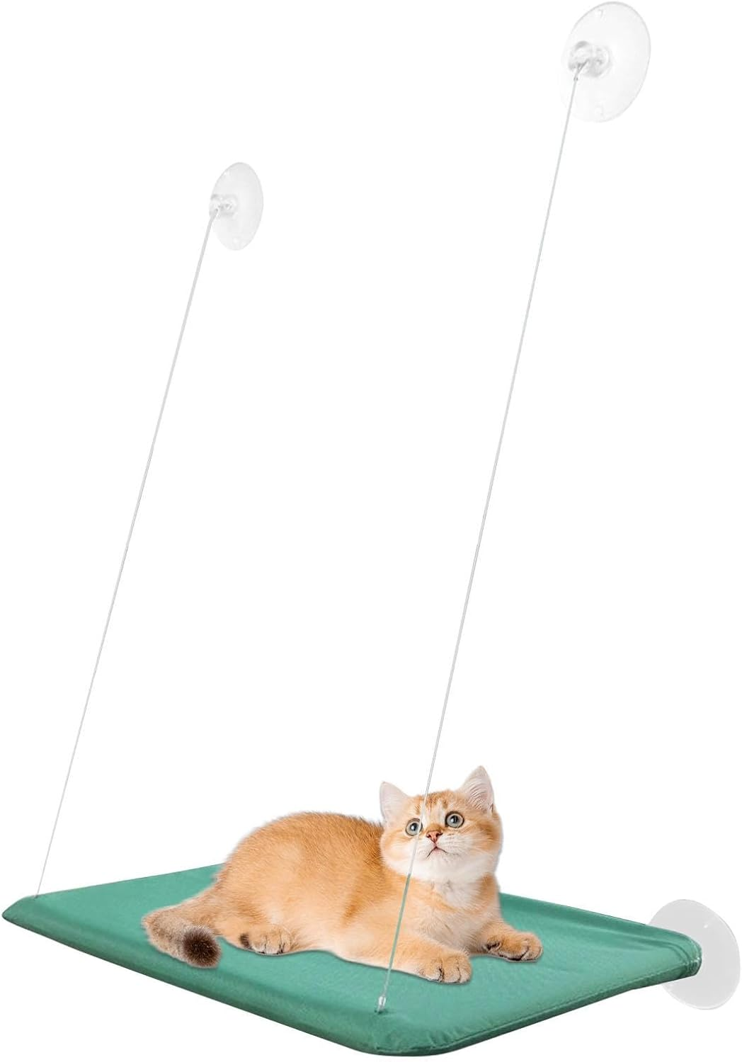 Cat Hammock | Cat Window Perch | Sunbathing Cat Bed Pet Bed | Comfortable Window Block Cat Seat for Pets inside Aid of Pets image number 2