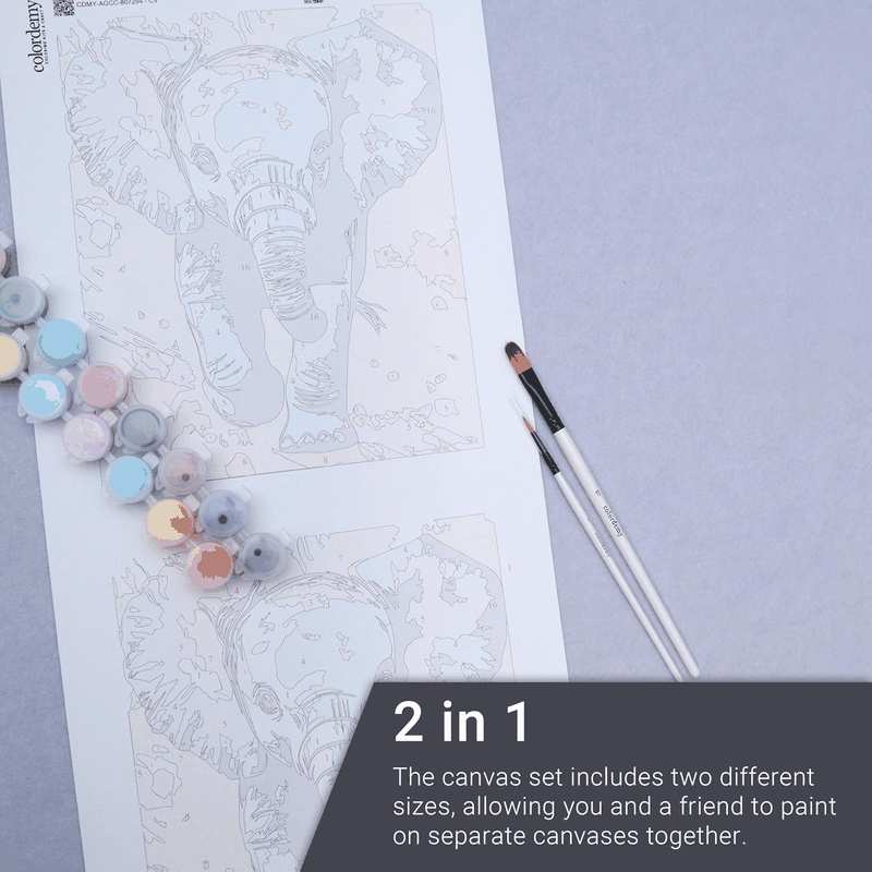 COLORDEMY 2-In-1 Paint by Numbers Kit - Rolled Canvases (20X25Cm & 20X20Cm), 16 Colours, Brushes & Paints Included - Fun for Adults & Kids, Perfect for Parties or Group Painting (Giraffe Design) image number 1