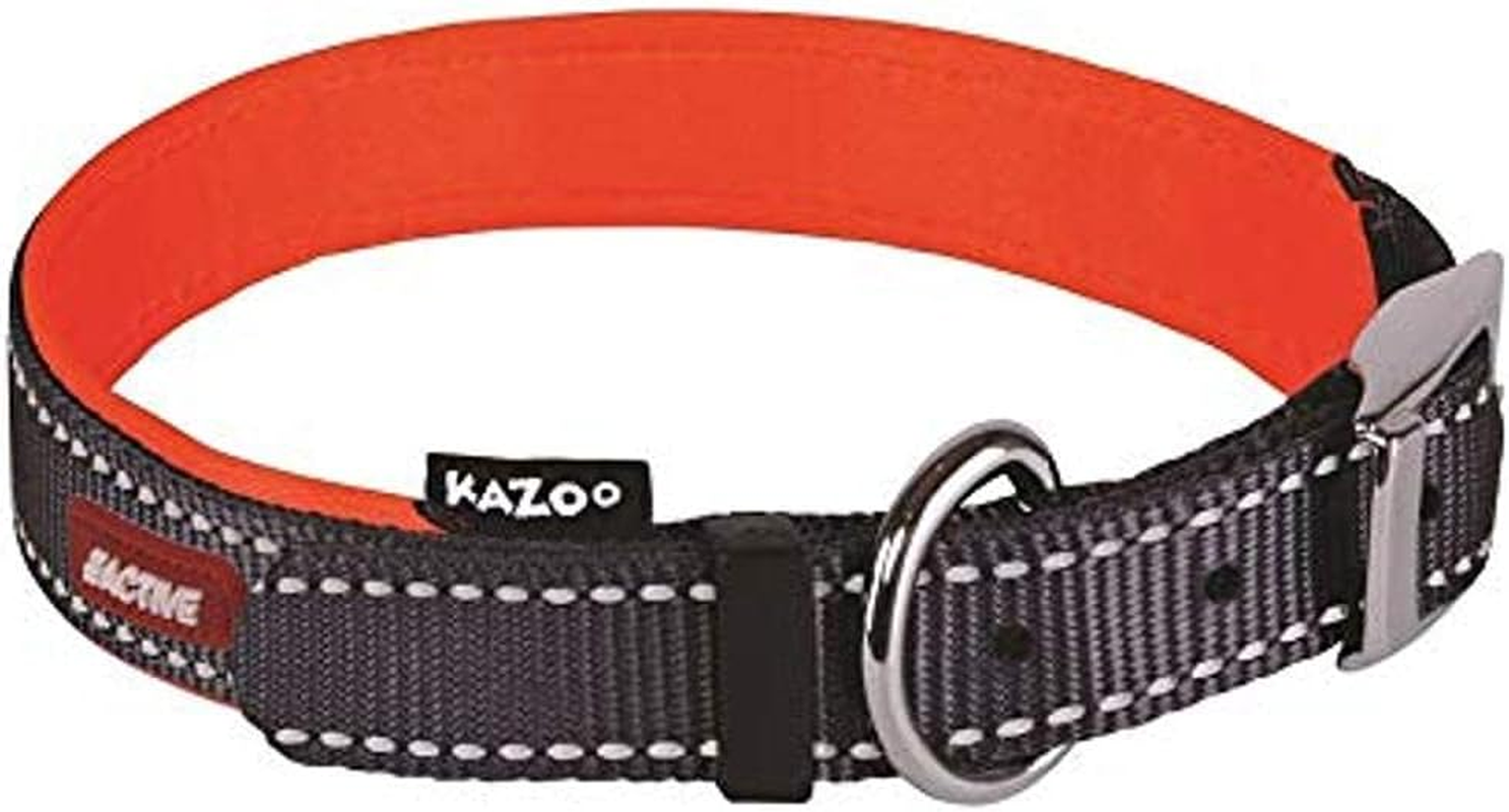 Kazoo Active Nylon Collar, Small image number 1