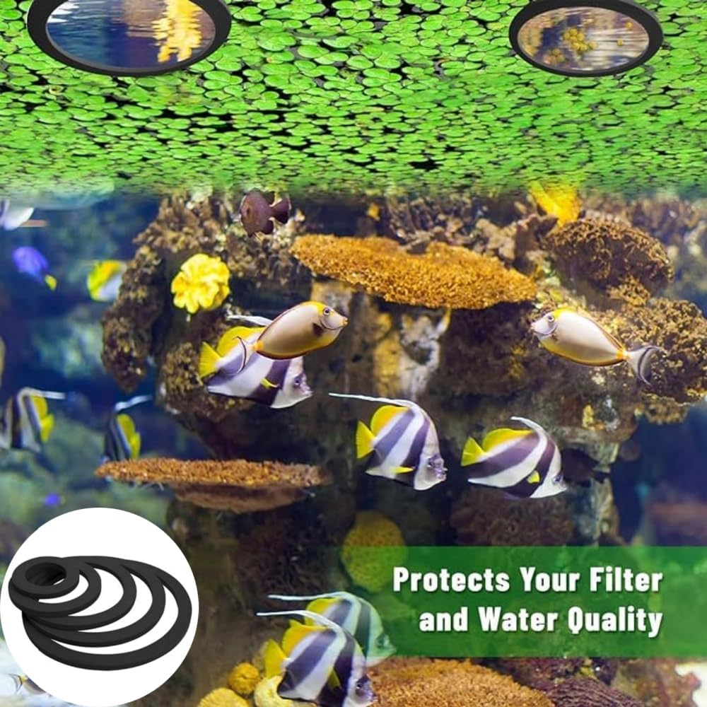 10Pcs Fish Feeding Rings, Lightweight Fish Tank Ring, Reusable Aquarium Floating Plant Corral, Floating Plant Corral for Turtles, Goldfish, Peacockfish Etc. image number 4