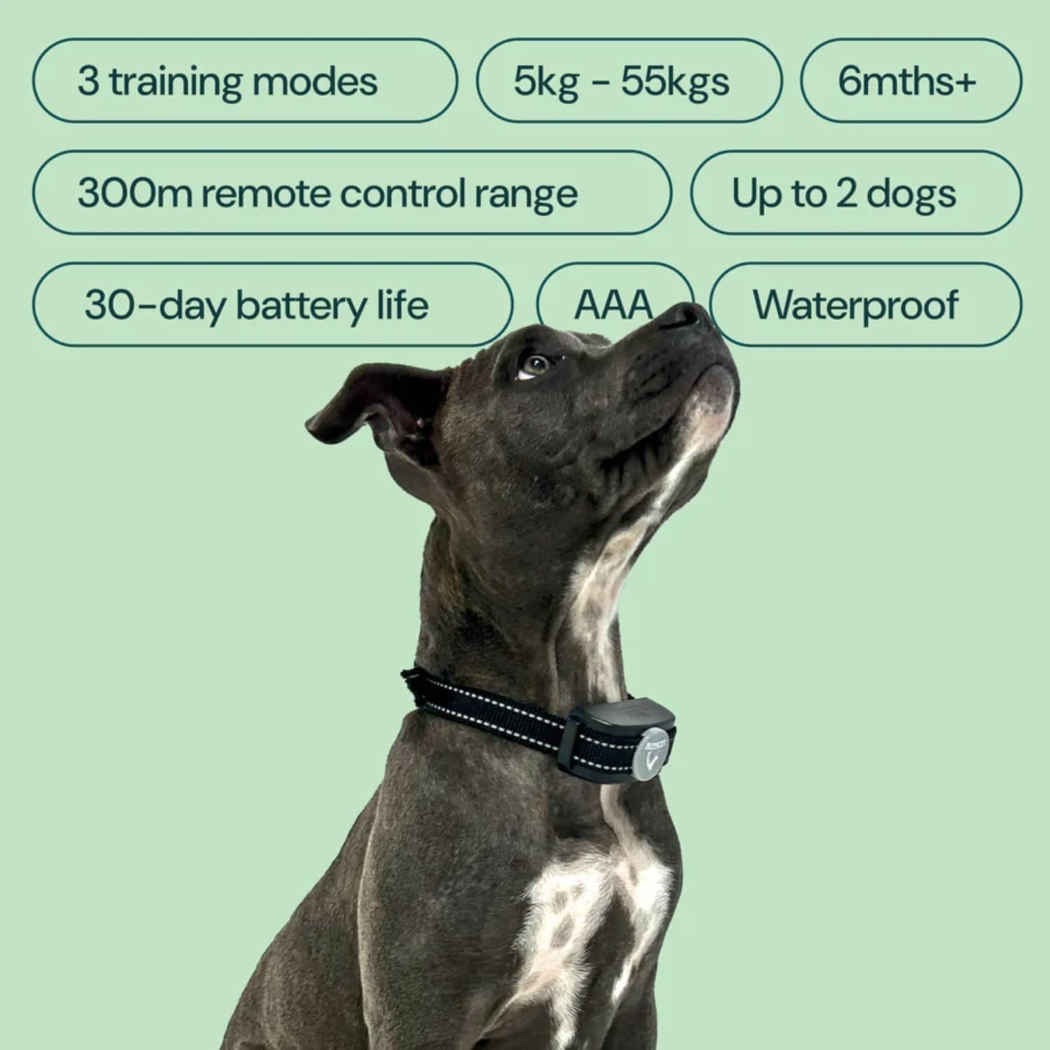 HW101 Remote Dog Training Collar (2 Dogs) with Beep Tones, Vibration, Shock, Waterproof, Safe anti Barking Device for Dogs, Dog Bark Collar for Small Medium Large Dogs, Black & Grey image number 5