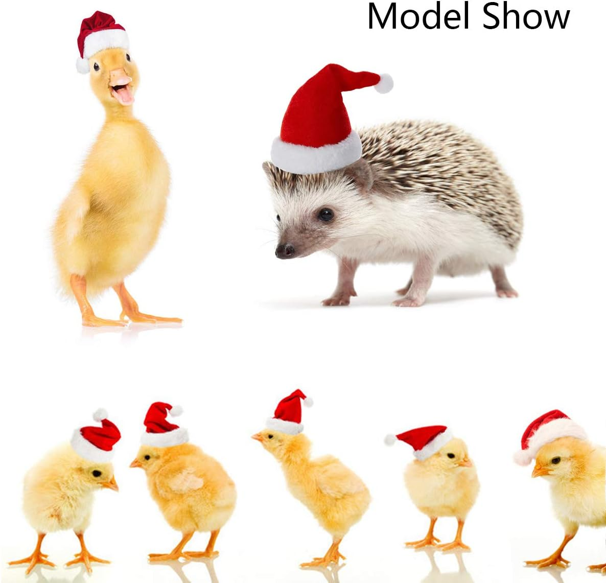 Vehomy 4Pcs Chicken Hats for Hens Chicken Christmas Santa Claus Hat with Adjustable Chin Strap for Poultry Hen Rooster Goose Duck Parrot image number 1