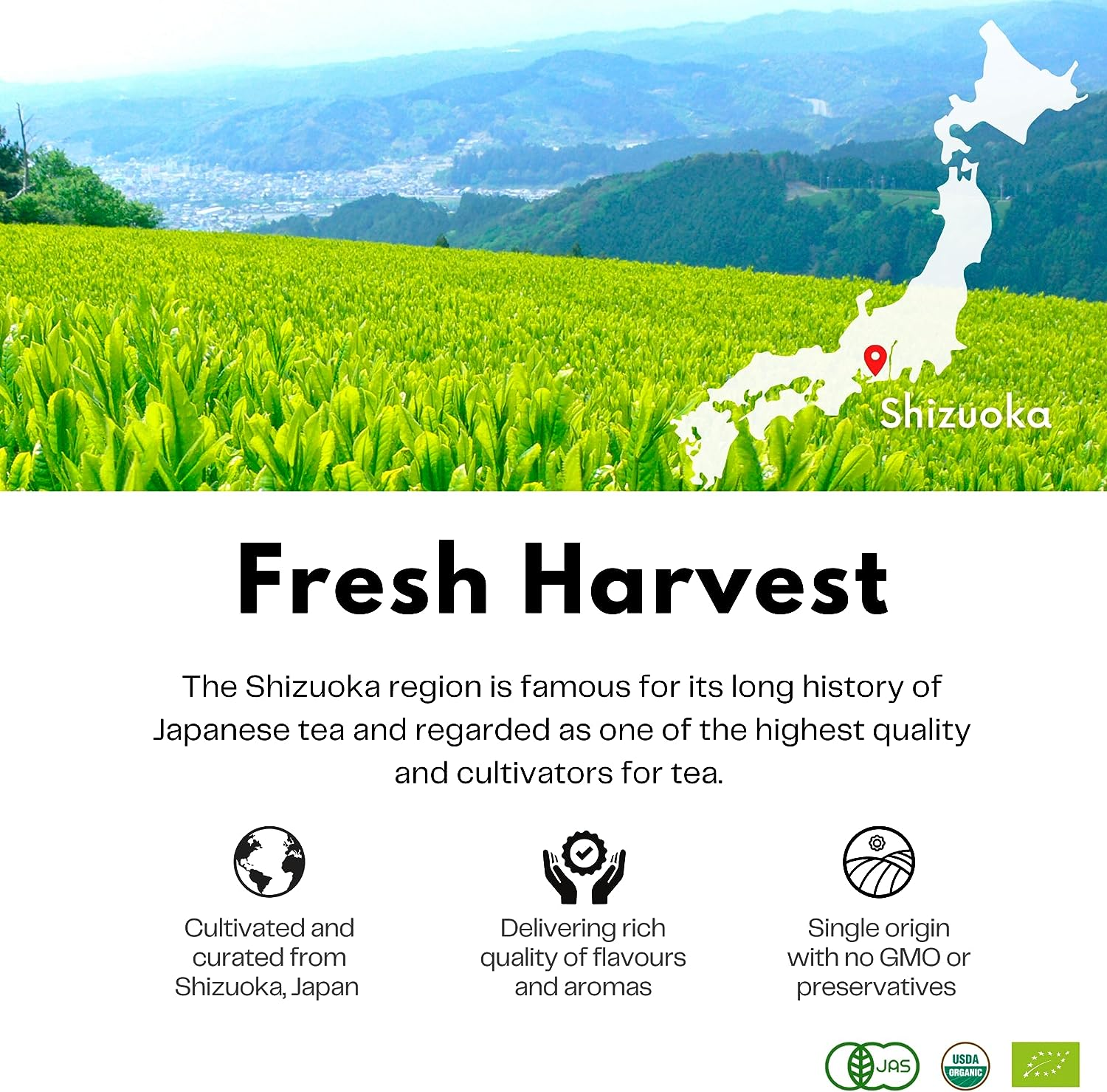 Teafy Organic Hojicha Roasted Green Tea, Japanese Houjicha Tea, from Shizuoka Japan, JAS & USDA Certified Organic Loose Leaf, Low Caffeine, 3.5Oz/100G image number 6