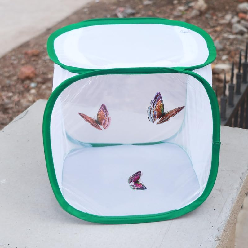 Insect and Butterfly Habitat Cage &ndash; Foldable Mesh Butterfly Cage with Clear View 6 Panels, Durable Breeding Habitat for Kids Garden Science Education 30X30X30Cm image number 1