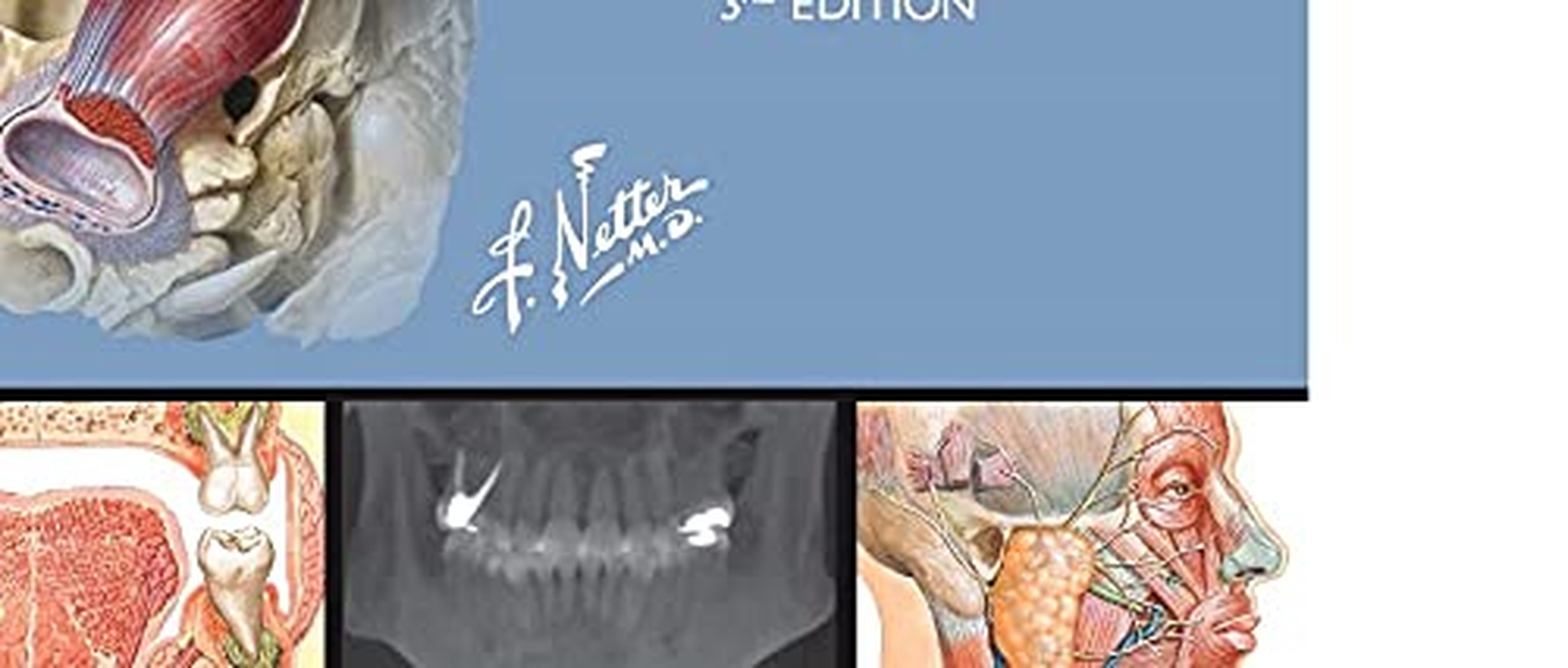 Netter'S Head and Neck Anatomy for Dentistry image number 1