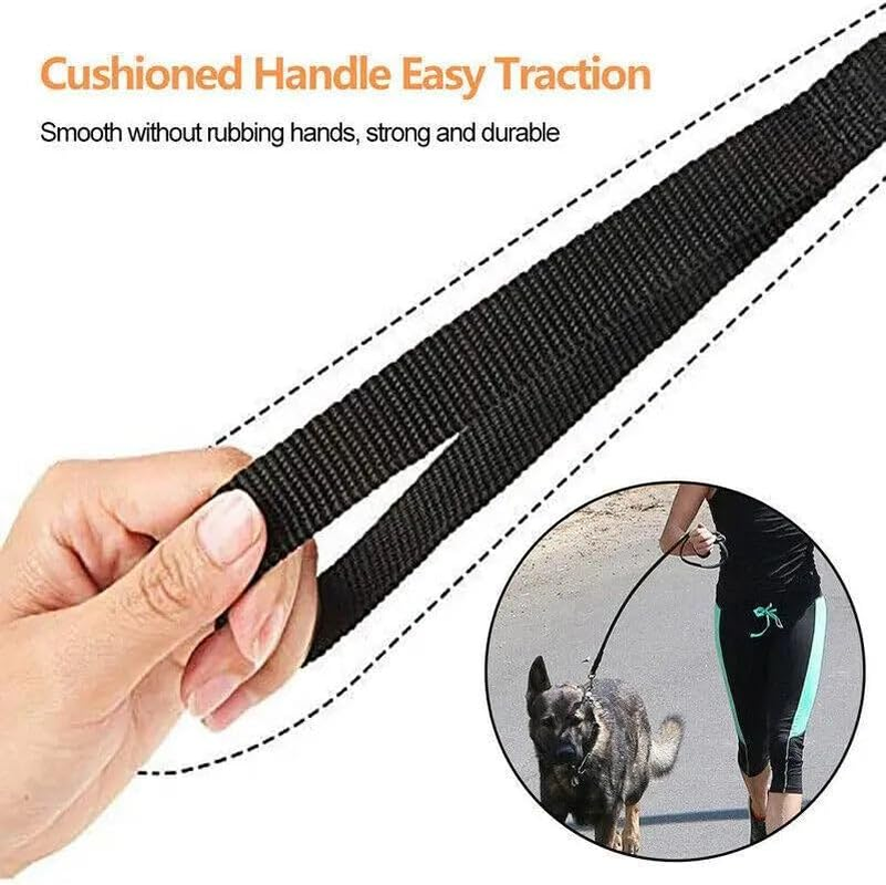 50Ft/15M Long Dog Lead Long Line Dog Leash Pet Puppy Leash Great for Dog/Puppy Training,Play,Camping,Extra Long Dog Leash- Durable with Stainless Steel Hook - Blue image number 5