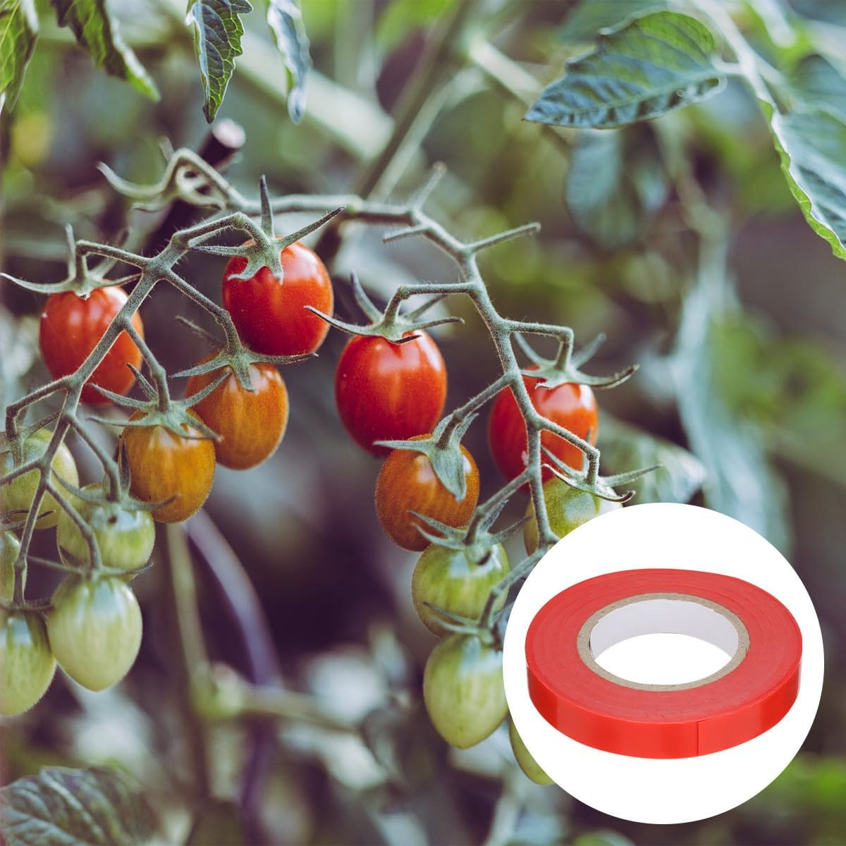 10Rolls PVC Plant Tie Tape and Gardening Tying Machine Tape for Vines Trees and Flowers for Home and Garden Use image number 6