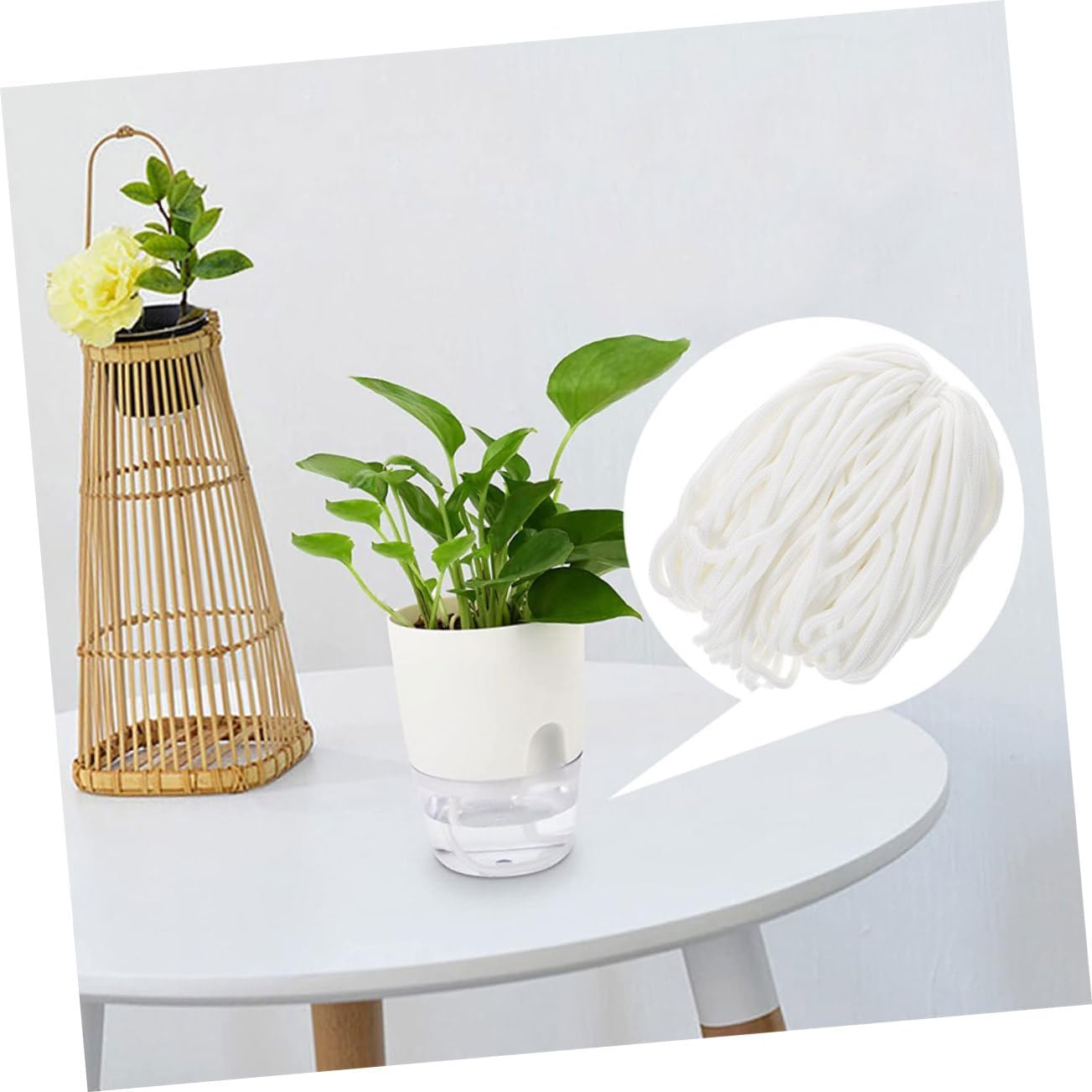 Kisangel Self-Watering Planter Rope Cotton Thread for Hydroponic Potted Plants Water Absorption Wick Cord for Garden Supply image number 6