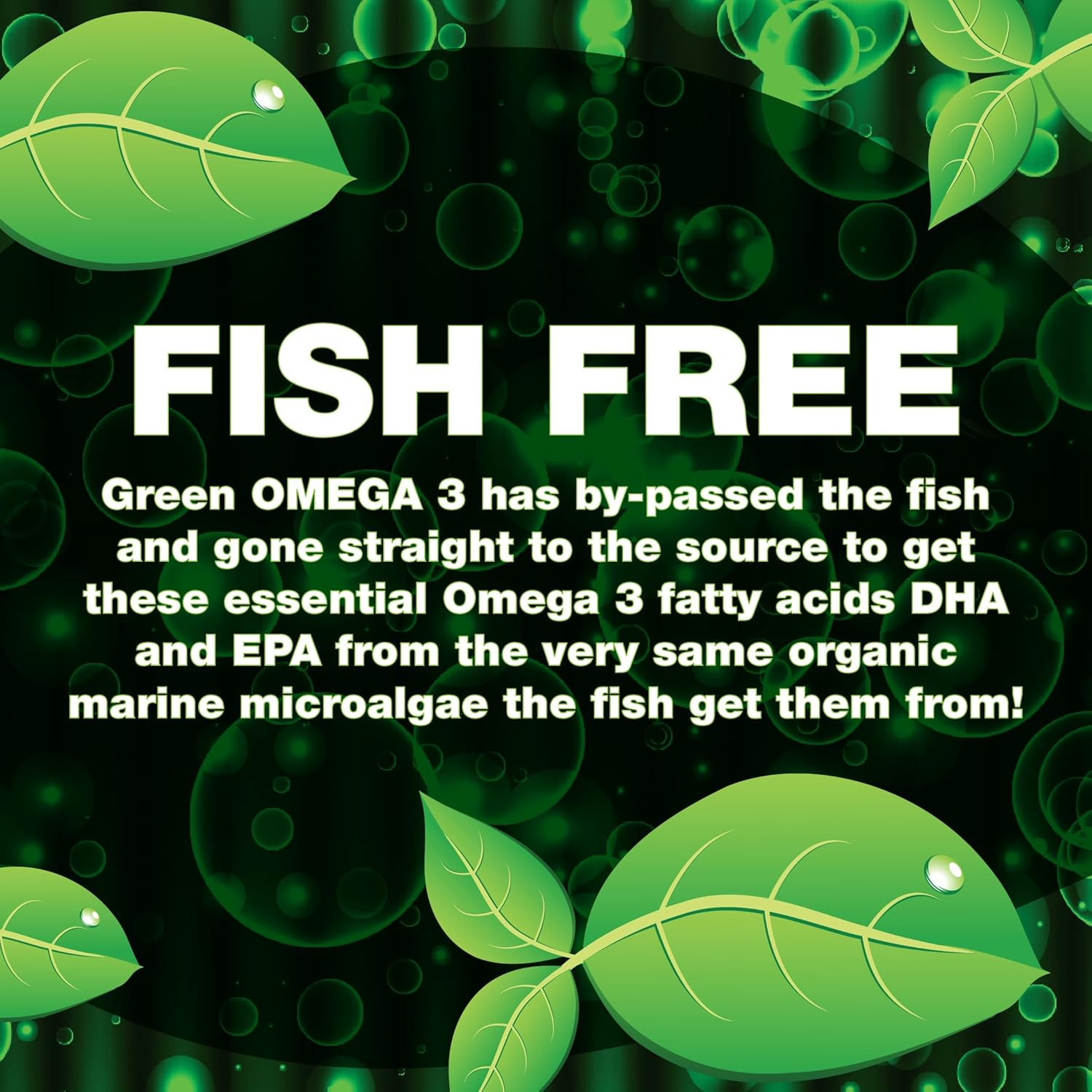 Green Nutritionals Vegan Omega3 30 Capsules - Vegan Vegetarian Friendly image number 1