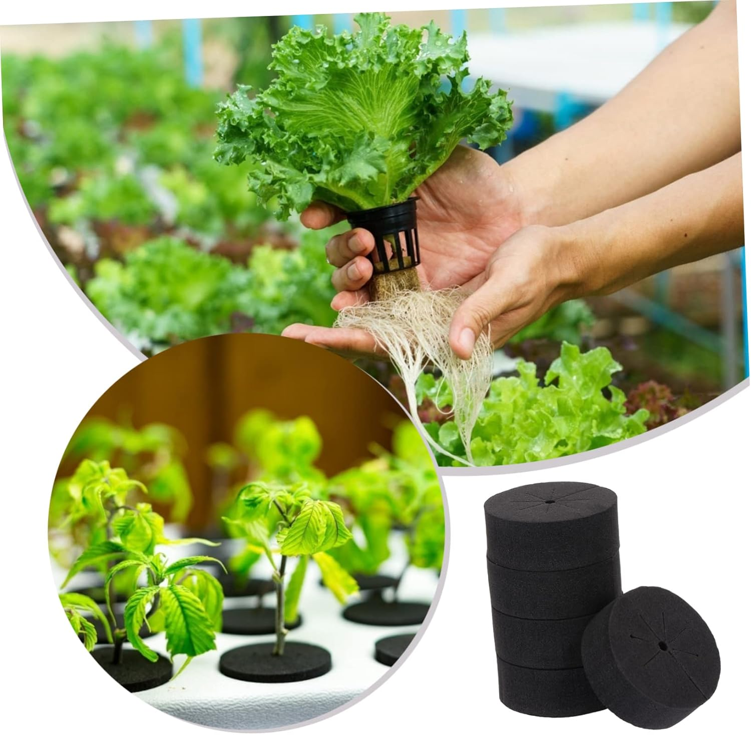 BESPORTBLE 30 Pcs Soilless Cultivation Block Insert Foam Gardening Net Pots EVA Growing Sponge for Hydroponics Flowers Vegetables Family Balcony Garden Use