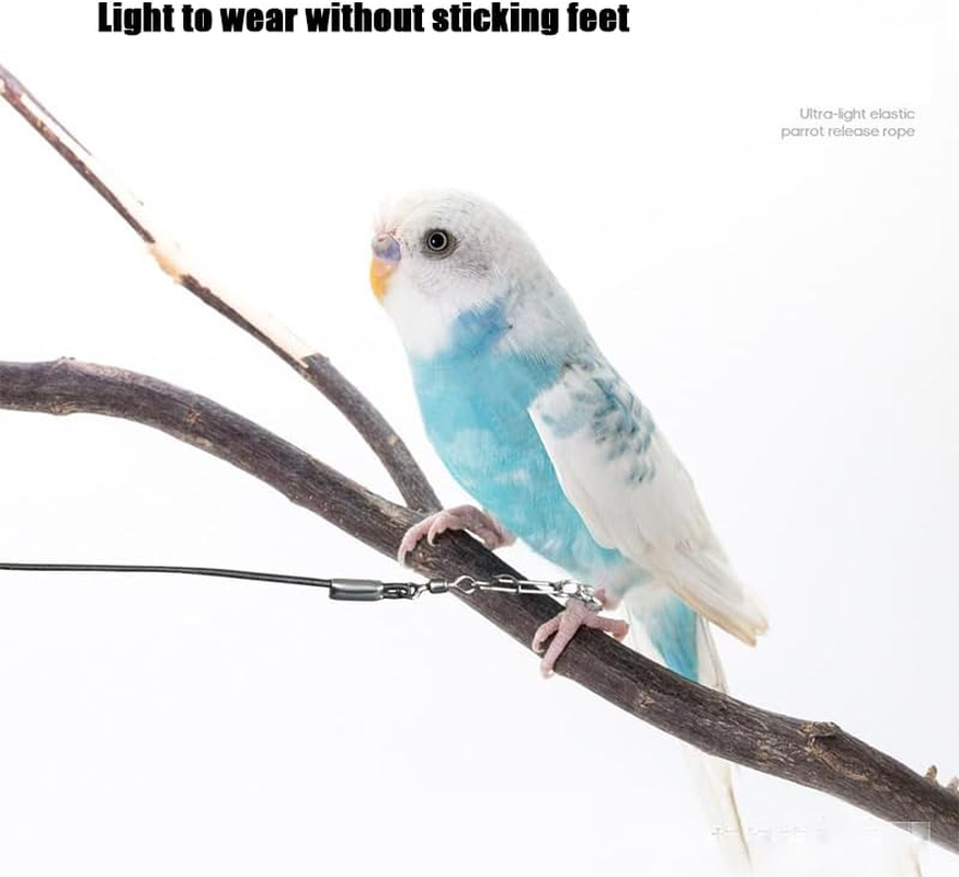 Wishlotus Parrot Flying Rope 3M - Ultra Light anti Bite Bird Flying Training Leash, Portable Parrot Foot Chain for Outdoor Flight Training, Pet Training Rope (Blue) image number 1