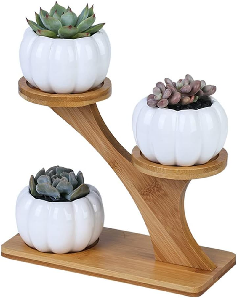 3Pcs Pumpkin Succulent Pots Bamboo Wood Shelf Flower Pot Stand Holder, Modern Minimalist White Ceramic Succulent Planter Pot for Office, Desk, House Balcony（Flower Pot Not Included） image number 4