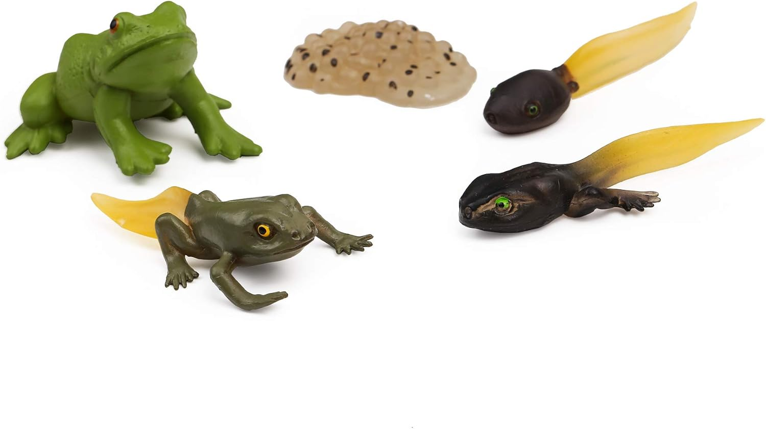 UANDME Life Cycle Figurines of a Monarch Butterfly and a Frog Realistic Education Insects Life Stages Figures for Learning and Teaching Aids image number 1