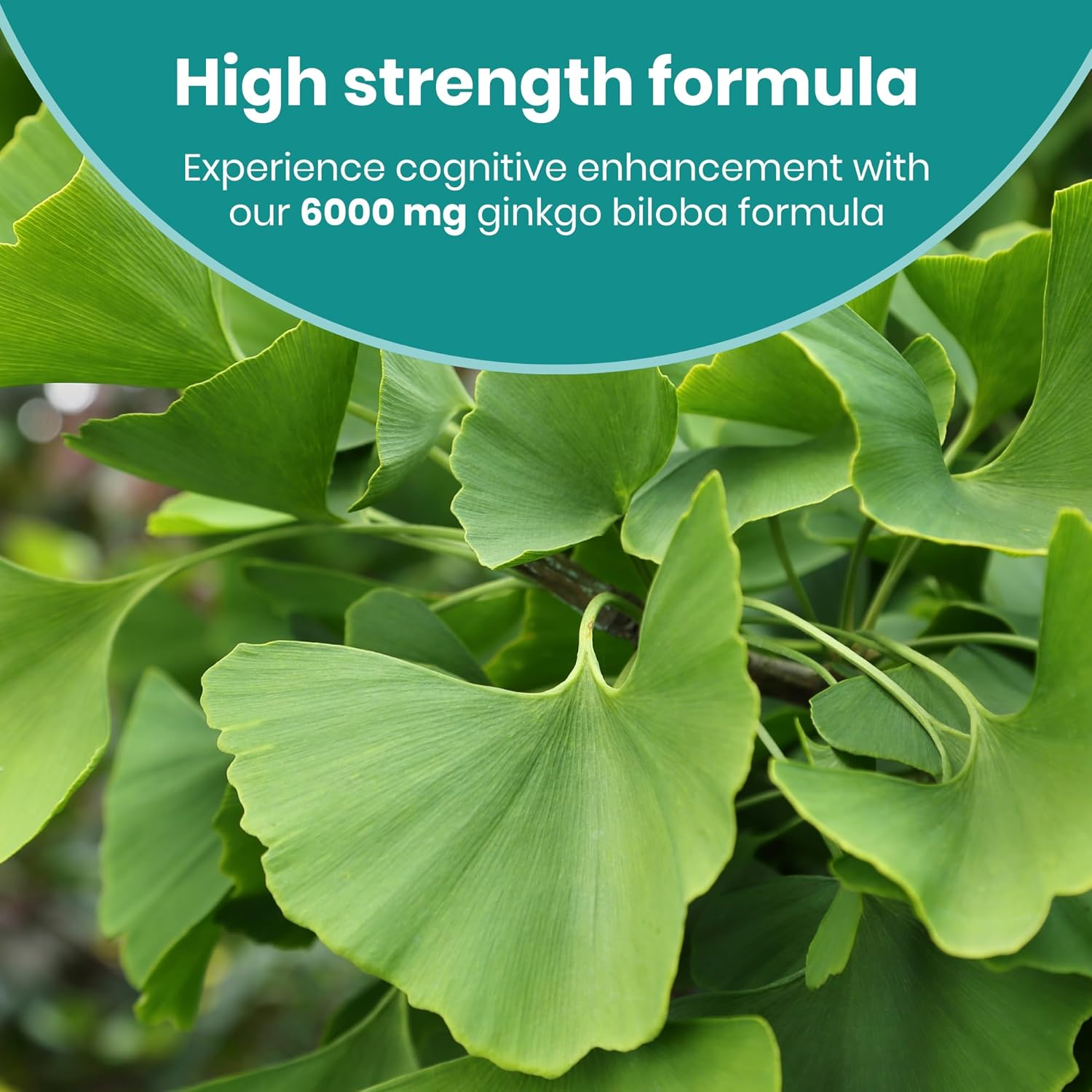 Healthy Care Brain Booster Ginkgo Biloba Capsules - Enhances Mental Alertness and Memory - Premium Dietary Supplement - All-Natural Ingredients - 60 Capsules - 6000 Mg image number 2