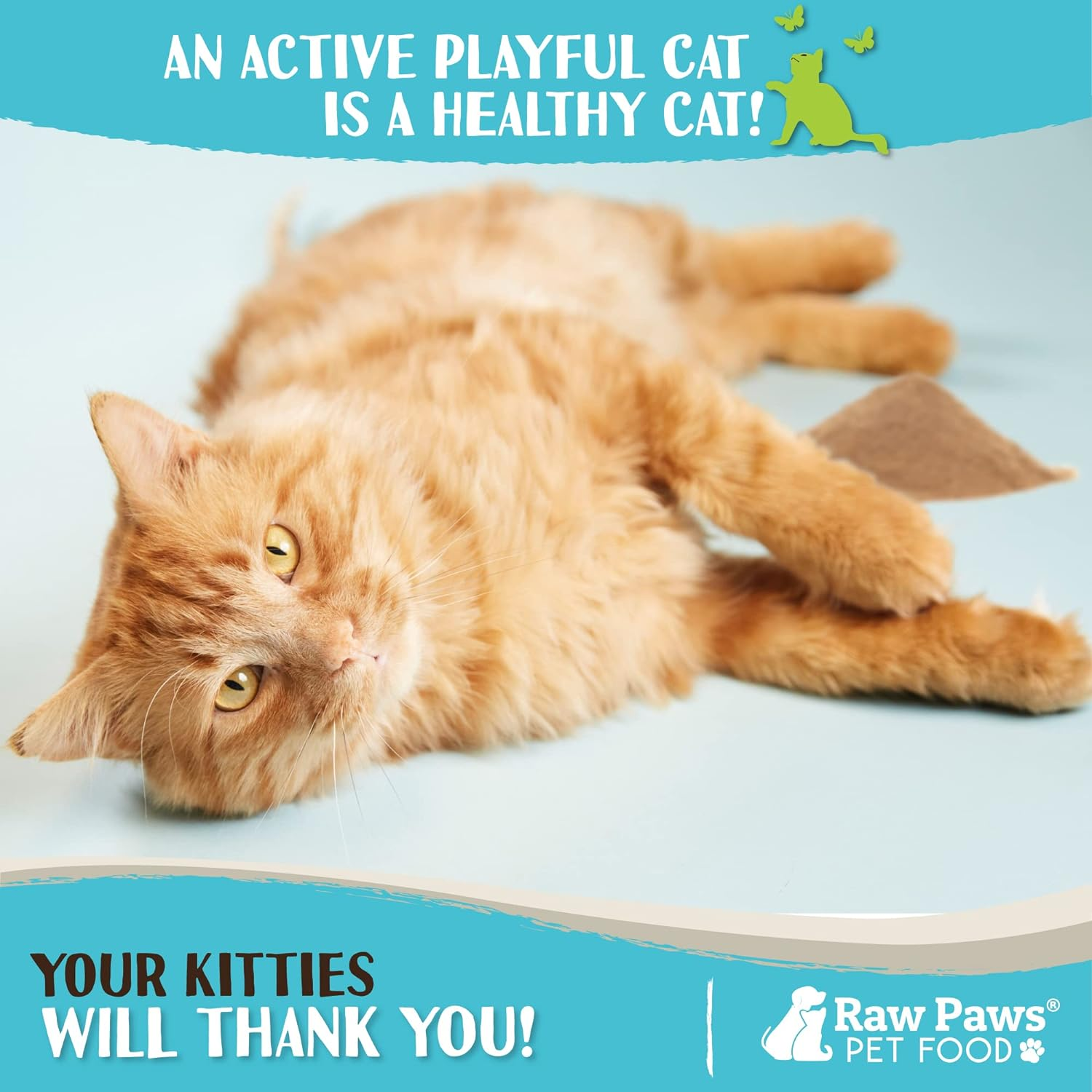 Raw Paws Silvervine for Cats, 75 Grams - 2X More Attractive than Catnip for Cats - 100% Silver Vine Gall Fruit Powder - Matatabi Silvervine Cat Toy for Indoor Cats Kitten Toys, Cat Nip Cat Alternative image number 4