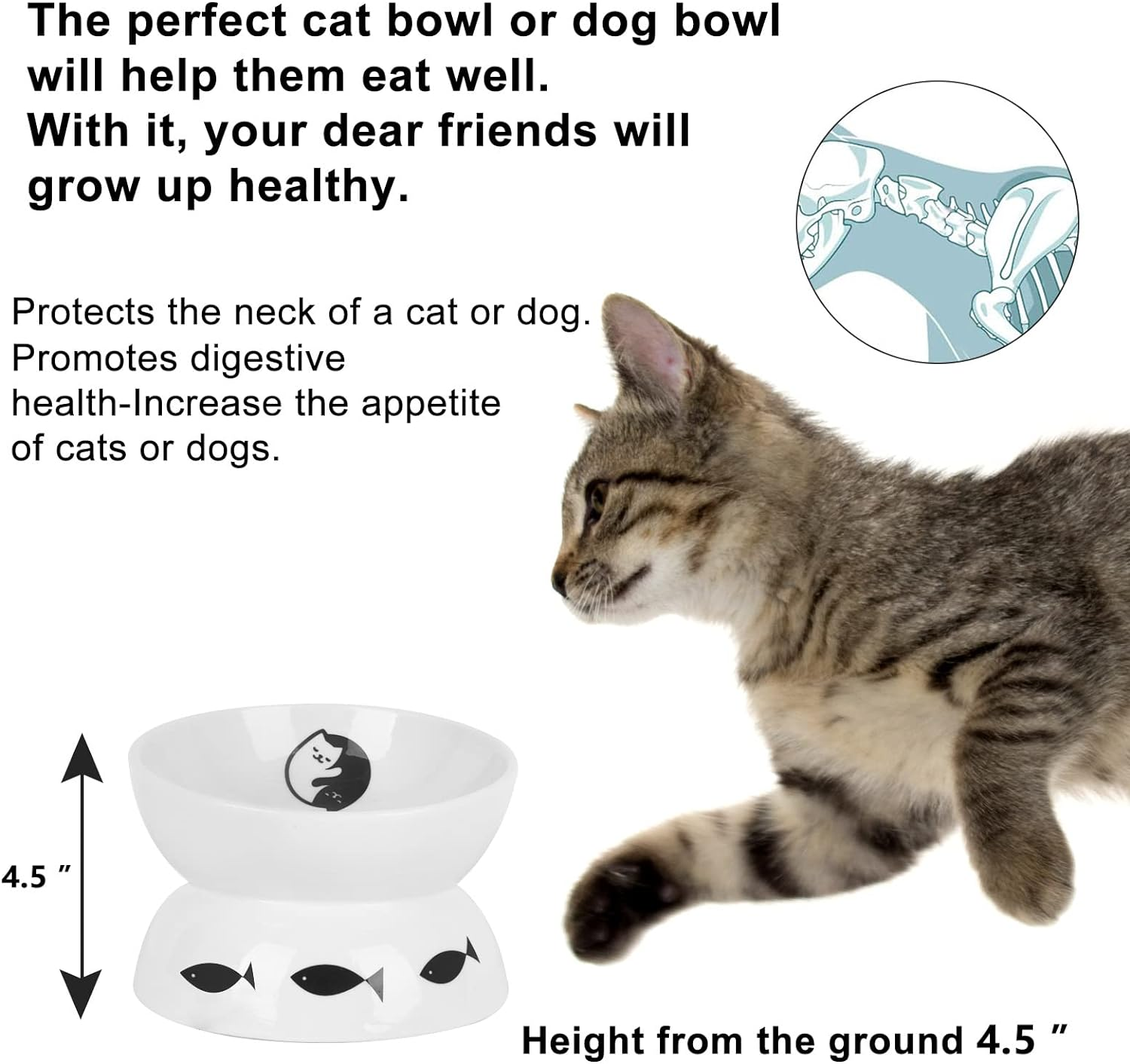 Vencer Cat/Small Dogs Slow Feeding Bowls, Raised Cat/Dog Food Bowl/Water Bowl,Elevated Cat Dog Dish,Pet Bowls for Cats or Small Dogs,Vcb-005 image number 5