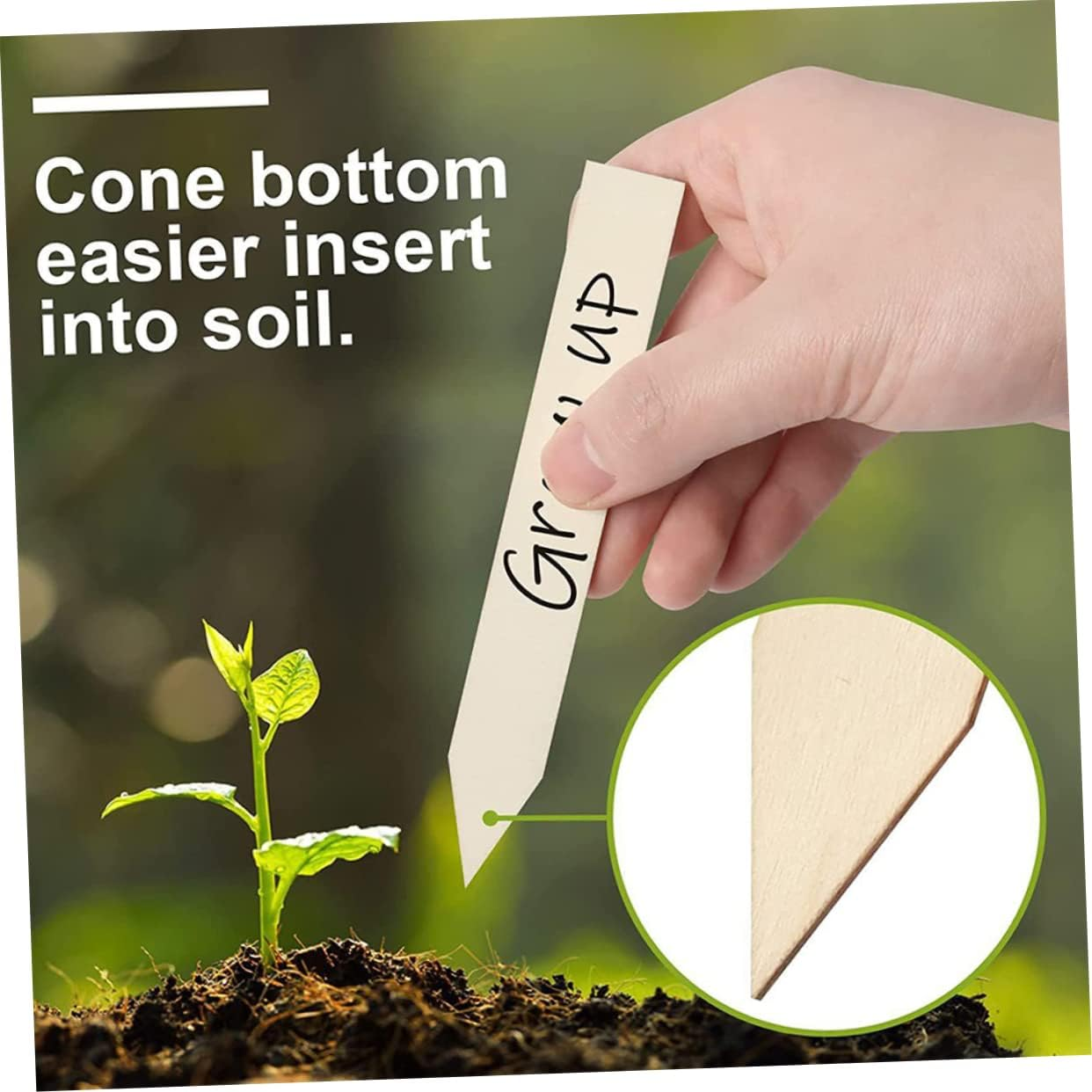 30Pcs Wooden Garden Markers Blank Plant Labels 2X15Cm Linden Wood Plant Name Tags for Flower Beds Succulent Garden Stakes for Outdoor Gardening image number 2