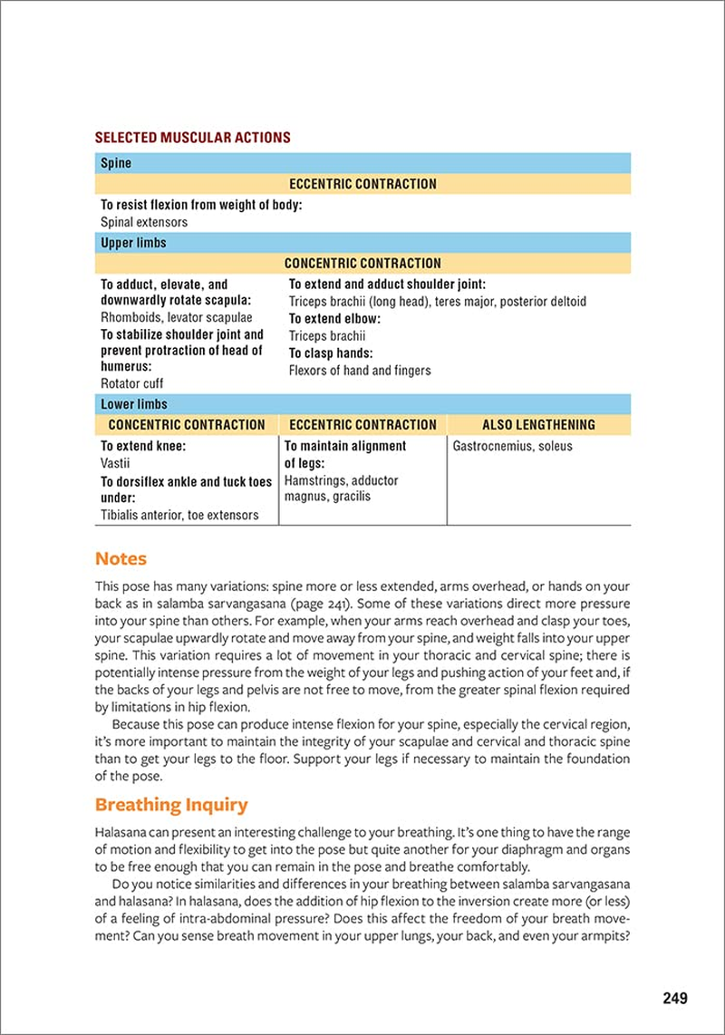 Yoga Anatomy image number 1