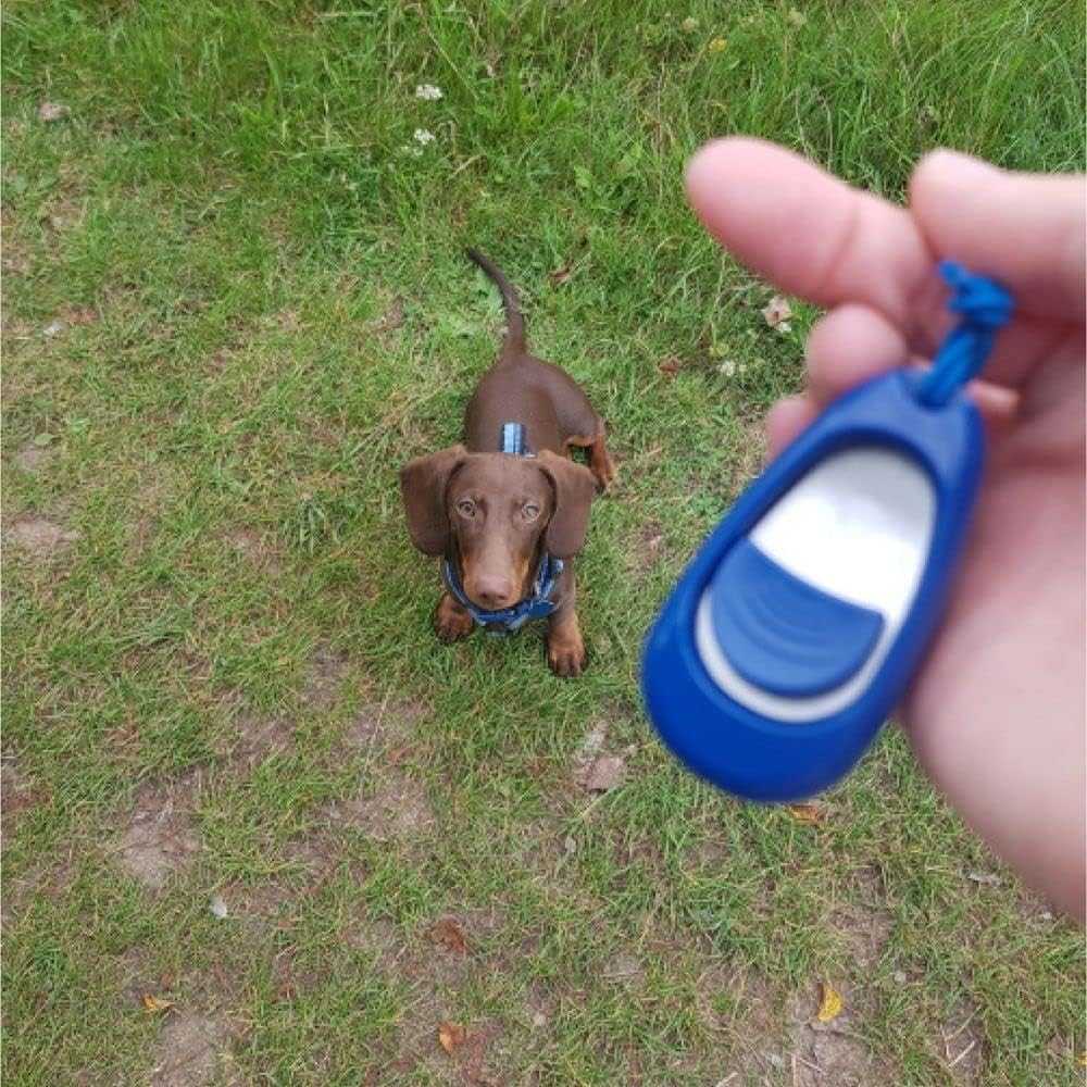 The Company of Animals 25760A Clix Multi-Clicker Training Tool for Dogs, Blue, Small image number 4