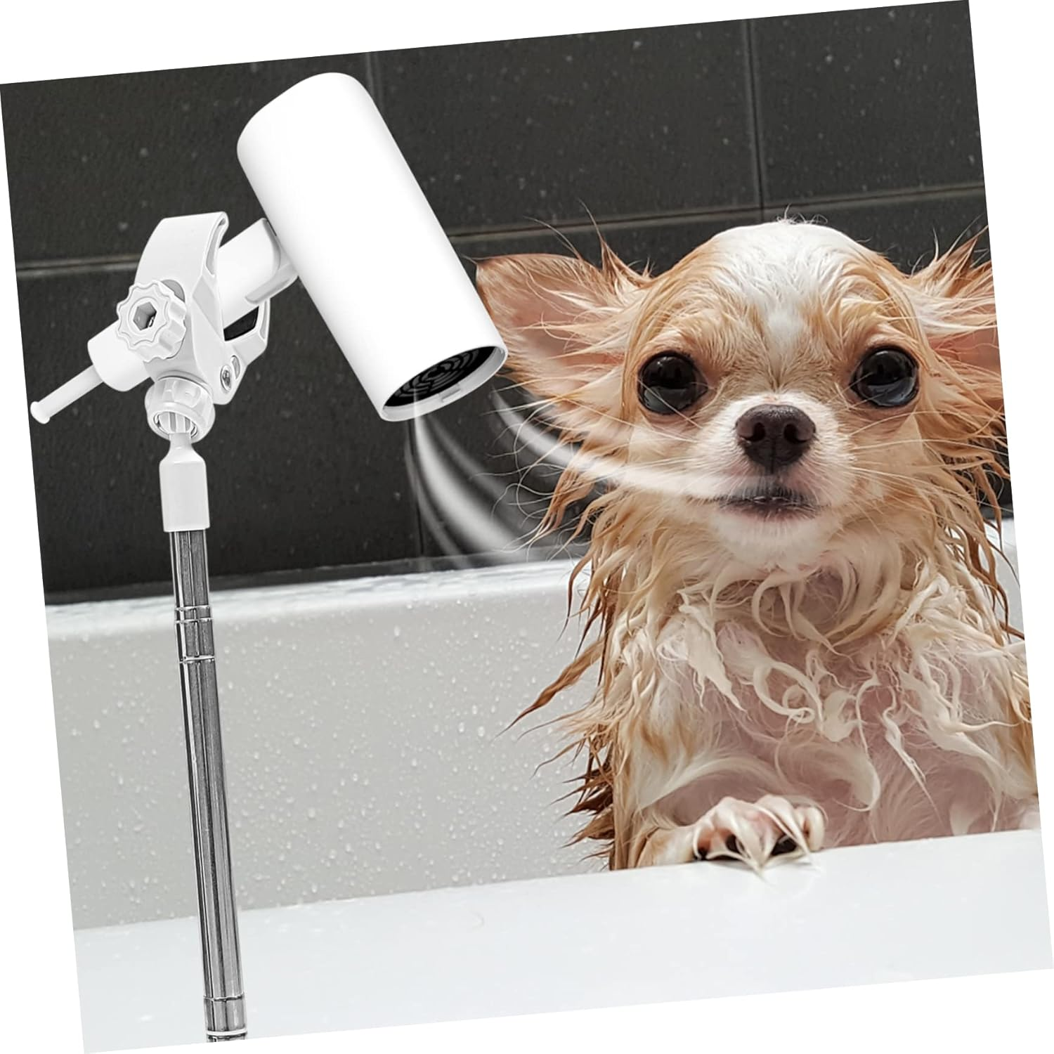 SAFIGLE Pet Hair Dryer Floor Stand 135Cm Adjustable White Blower Holder Hands-Free Grooming Support for Dogs and Cats