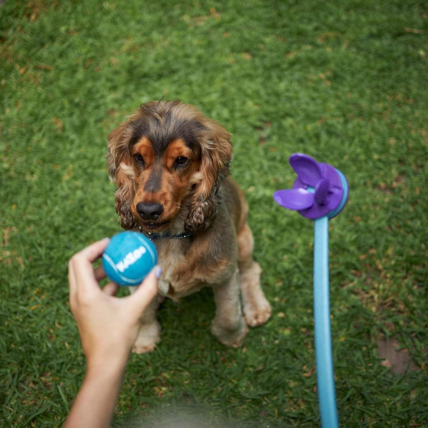 Kazoo Adjustable Eco-Friendly Ball Thrower Dog Toy image number 2