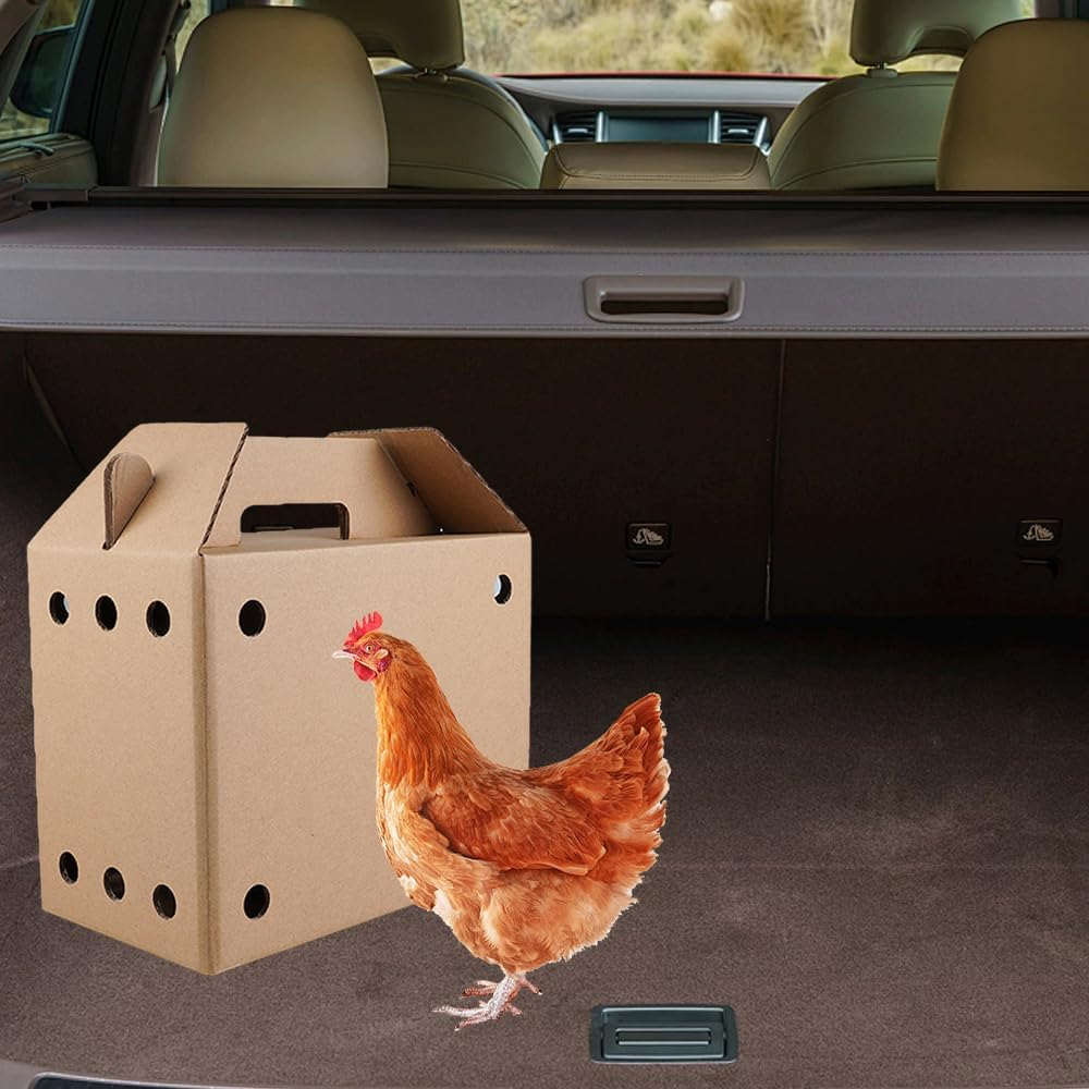 AIMALL 10PCS Cardboard Pet Carriers in 3 Sizes: Sturdy, Safe Disposable Travel Boxes for Small Animals with Ventilation, Easy Assembly, & Built-In Handles image number 1