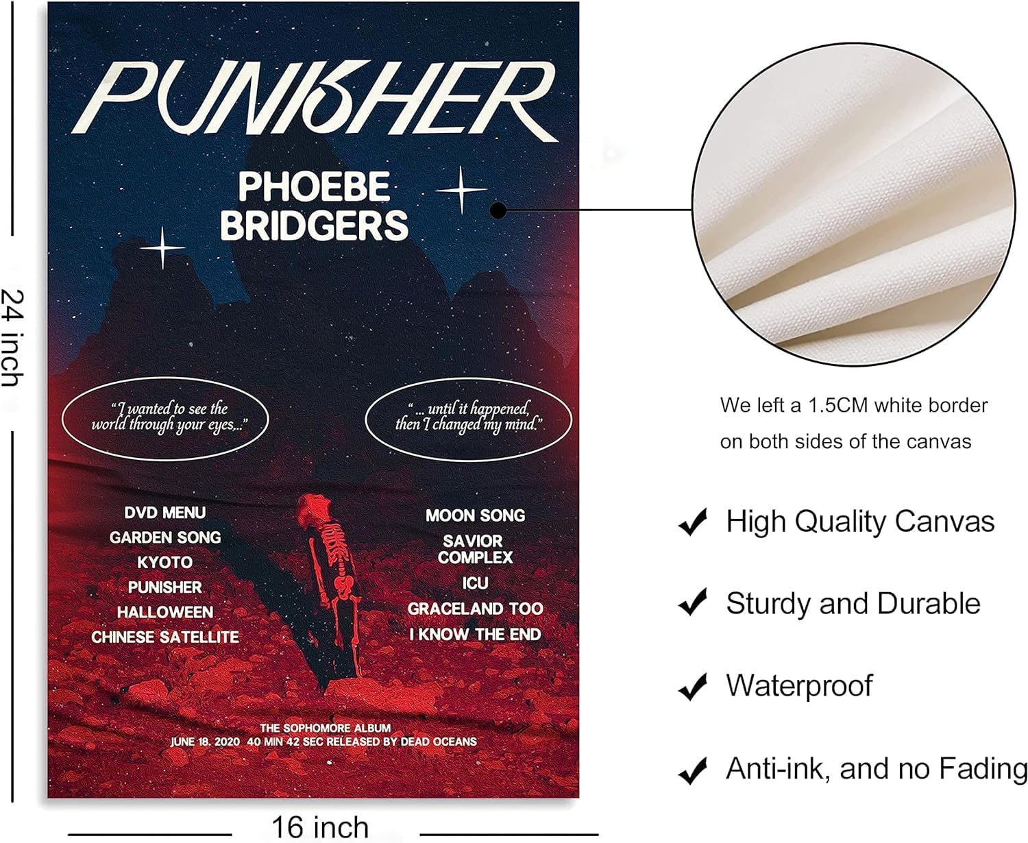 Phoebe Bridgers Poster Album Cover Art Wall Canvas Pictures for Modern Office Decor Vintage Prints 40X60Cm Unframed (G)