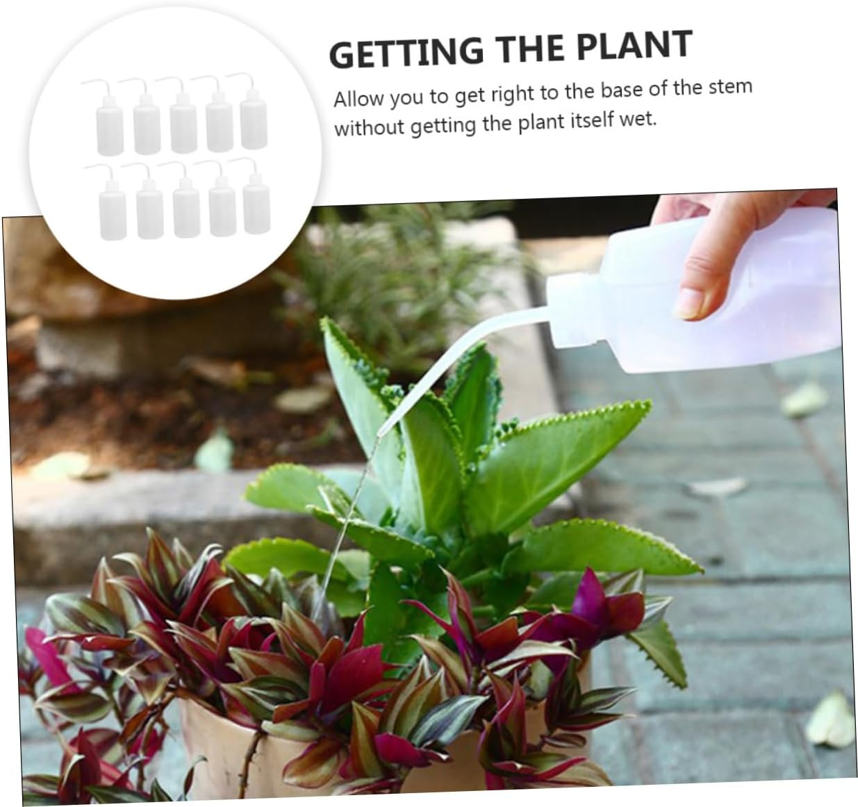 SUPVOX 20Pcs Plastic Squeeze Bottle for Gardening Succulent Watering Can Convenient Wash Bottle for Daily Use