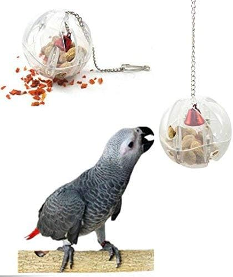Parrot Creative Foraging Systems Foraging Ball- Bird Intelligence Growth Cage Acrylic Box Toys (A) image number 2