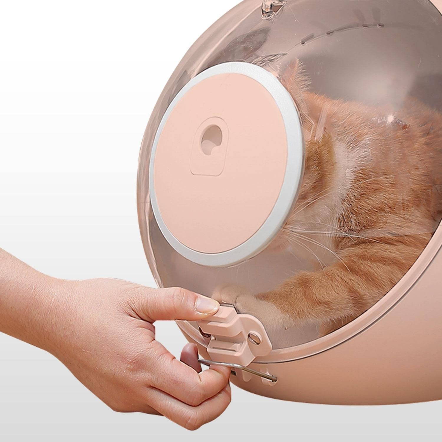 Cat Carrier, Pet Carrier Cat, Cat Carrier Large, Cat Crate, Small Dog Carrier, Cat Travel Crate, Pet Carrier for Medium Cats image number 1