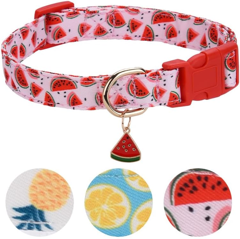 Dog Collars with Buckle Adjustable for Cute Female Boy Dogs,Special Soft and Fancy Dog Pet Collar with Flower Design for Small Medium Large Dogs (Red, M Width 2.0 Adjustable 31-50Cm)
