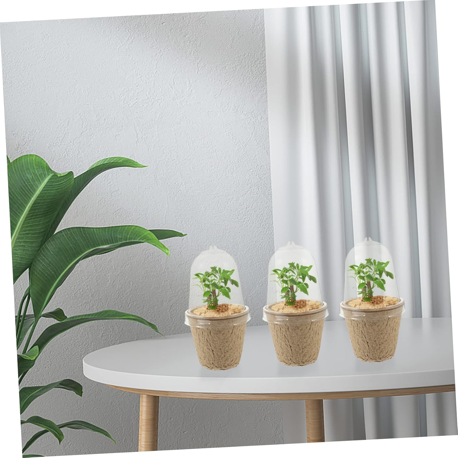 20Pcs Pulp Seedling Cups Plant Containers for Succulent Bonsai Garden Nursery Pots image number 5